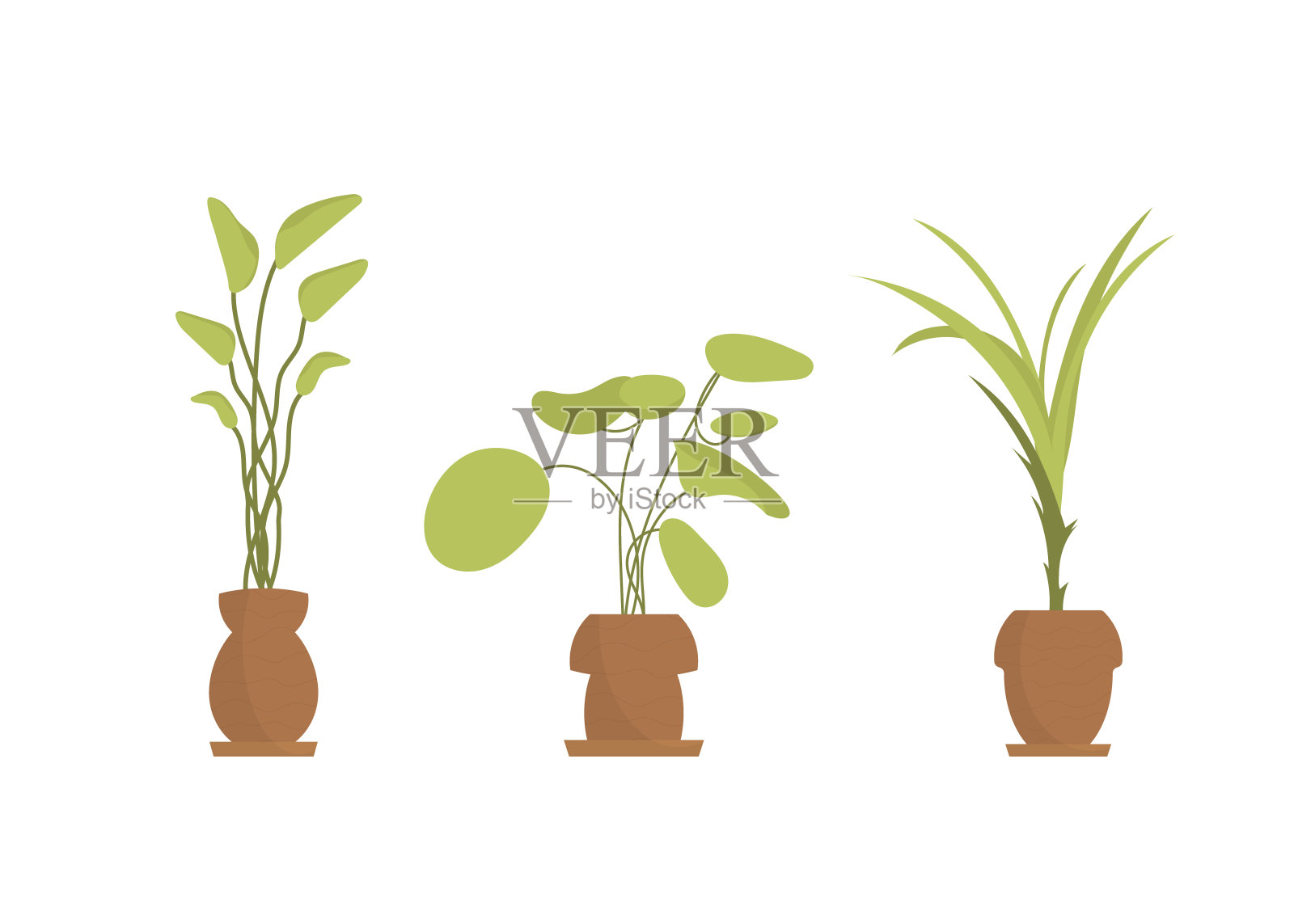 各种室内植物的集合。孤立。平的风格。插画图片素材