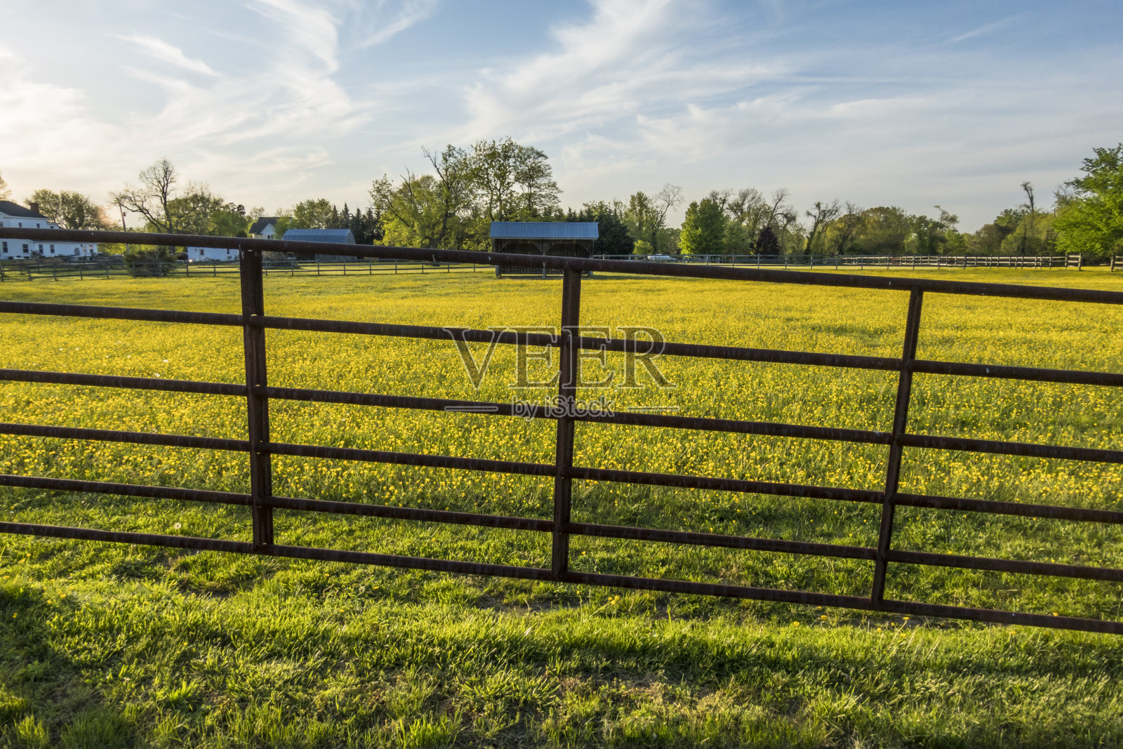 光之山钻石市场照片摄影图片