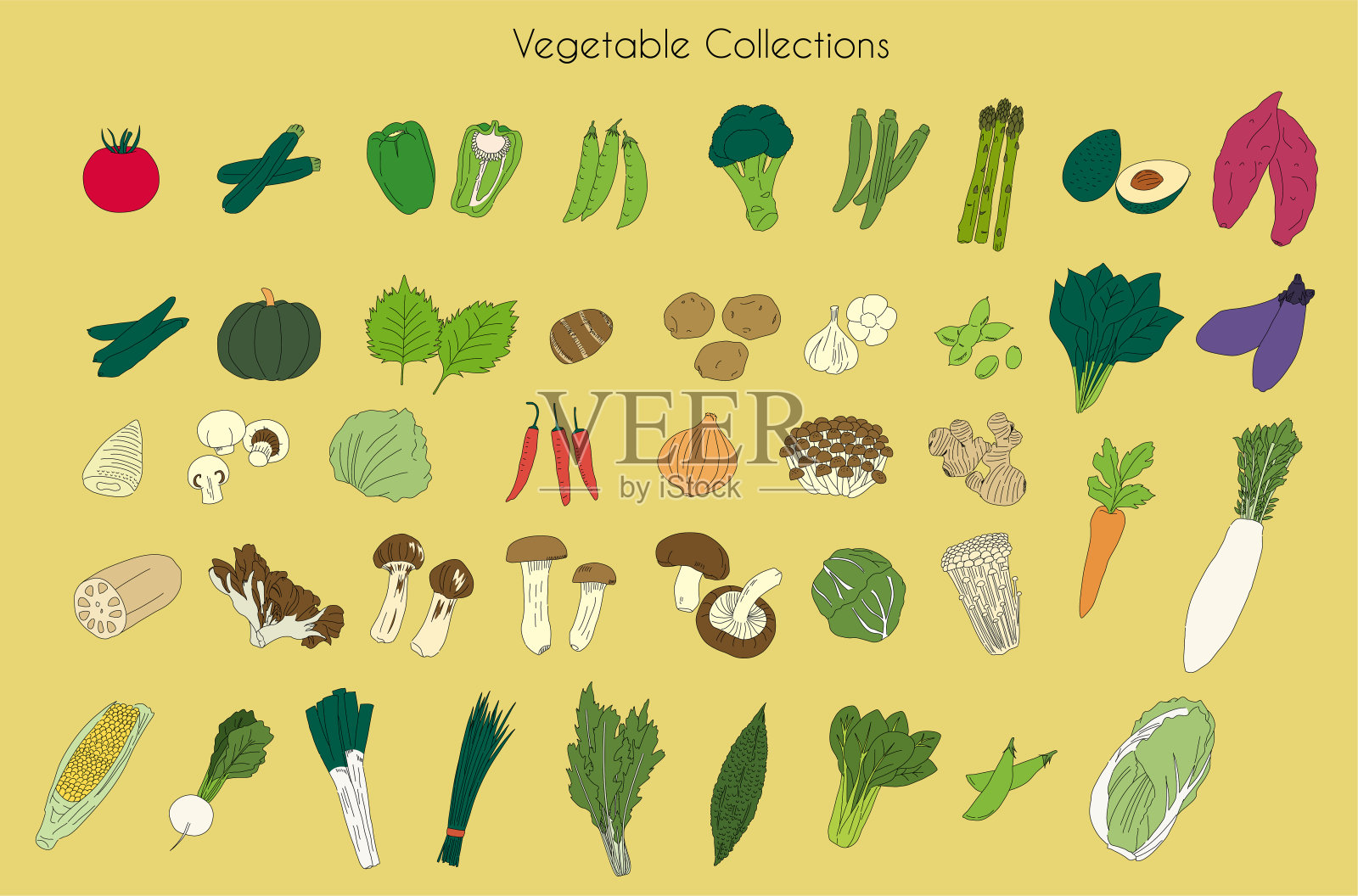 蔬菜素描插图套装插画图片素材