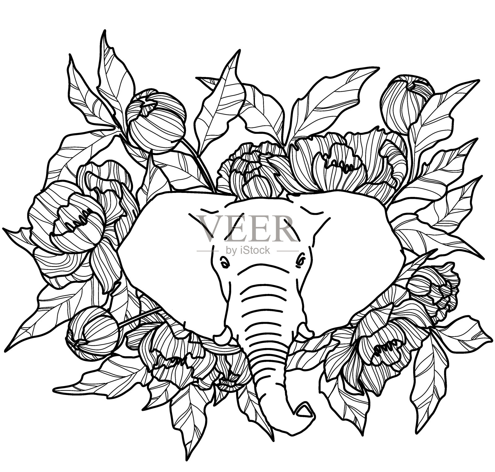 画册上,一头大象,周围有牡丹花和叶子的图案插画图片素材