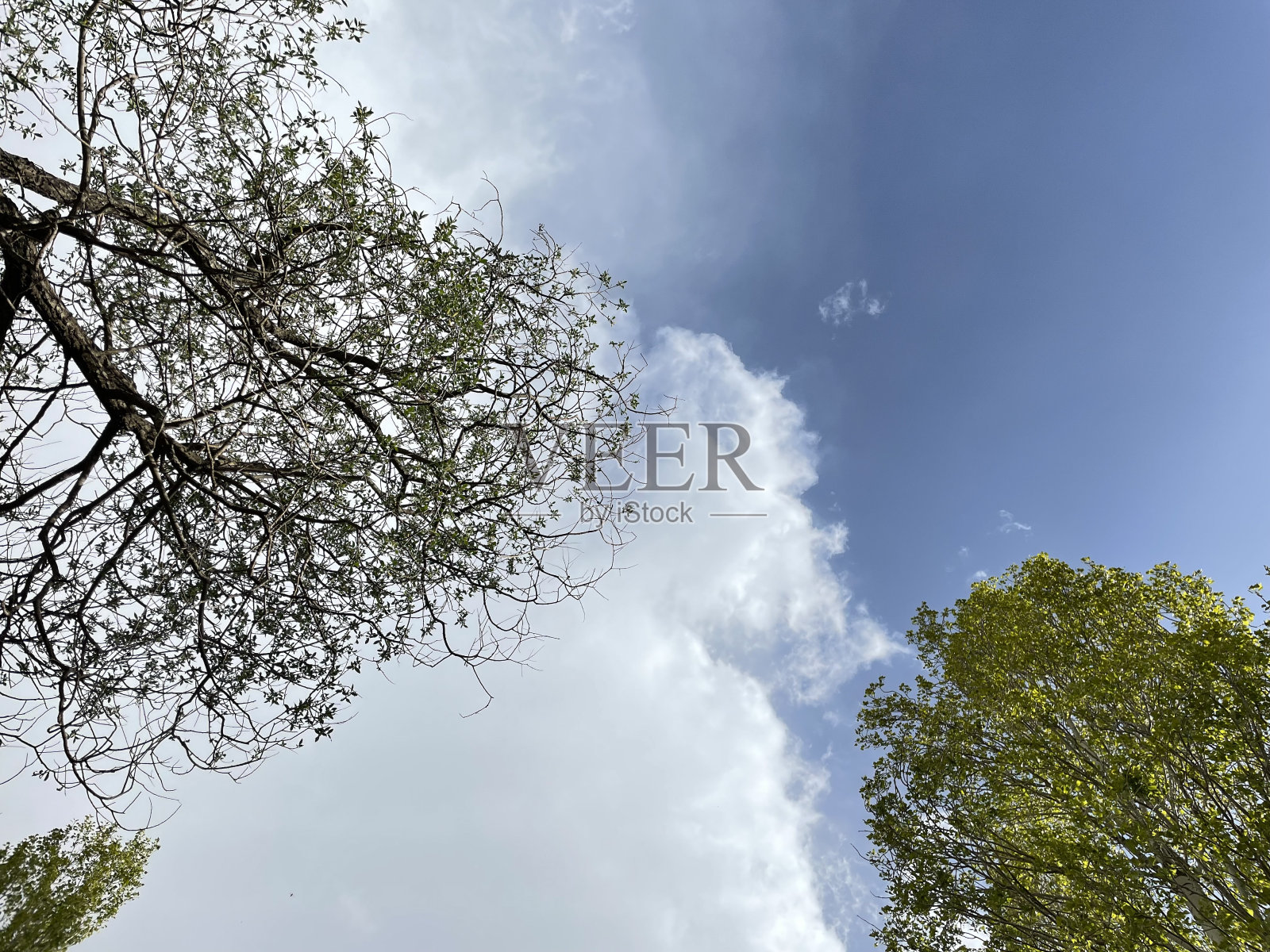 在小溪边骑车旅行照片摄影图片