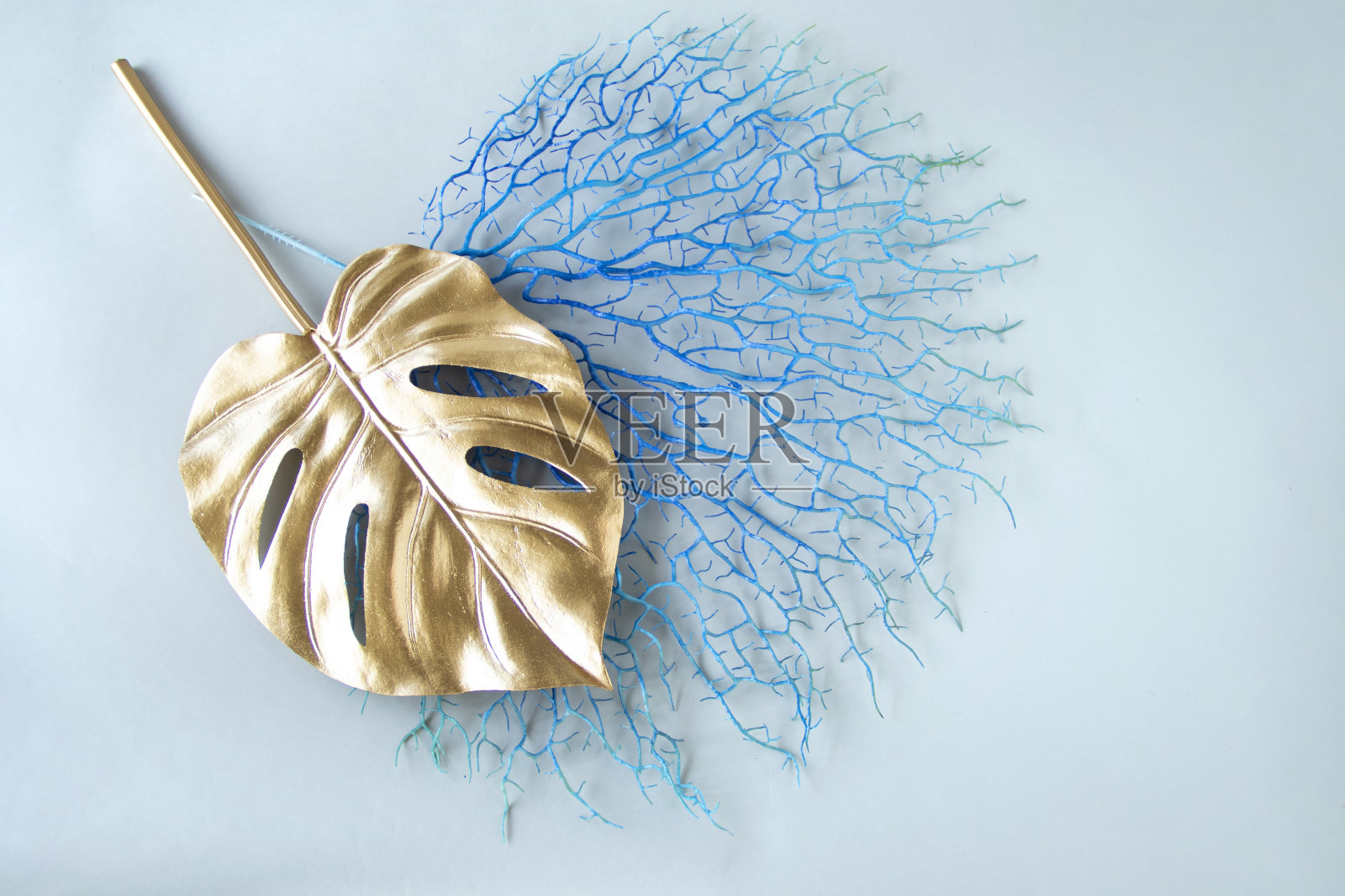 金色怪兽和蓝色珊瑚设计照片摄影图片