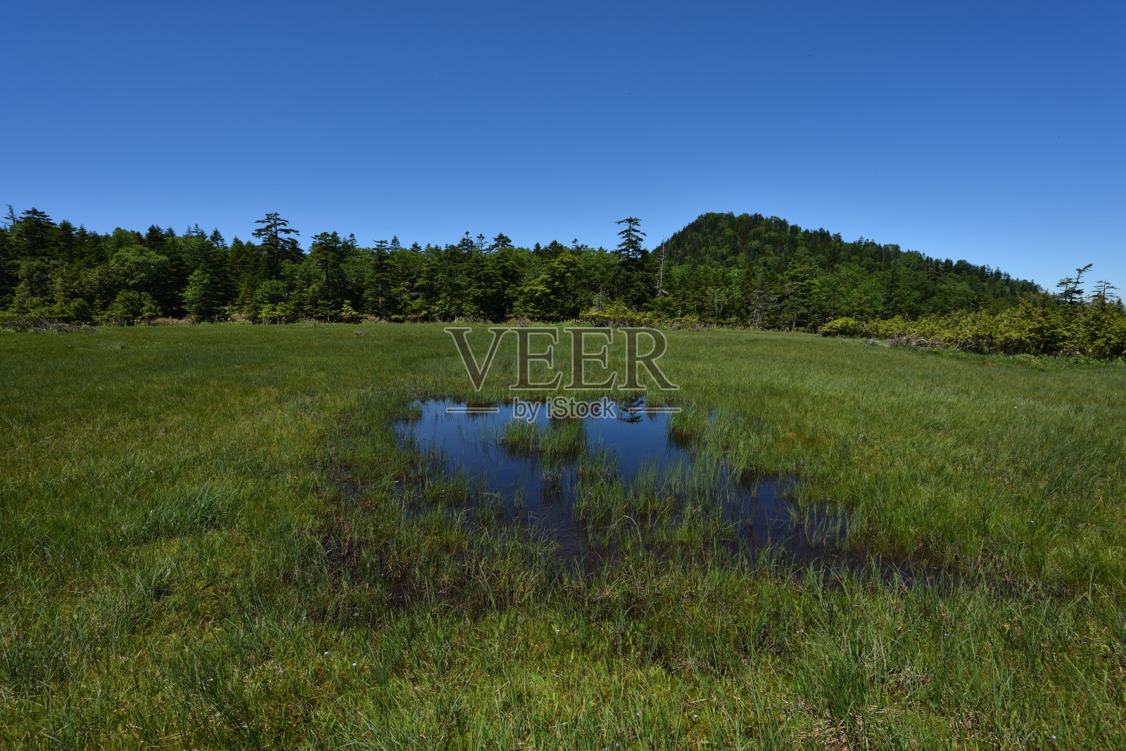 在高海拔的湿地中有许多湖泊照片摄影图片