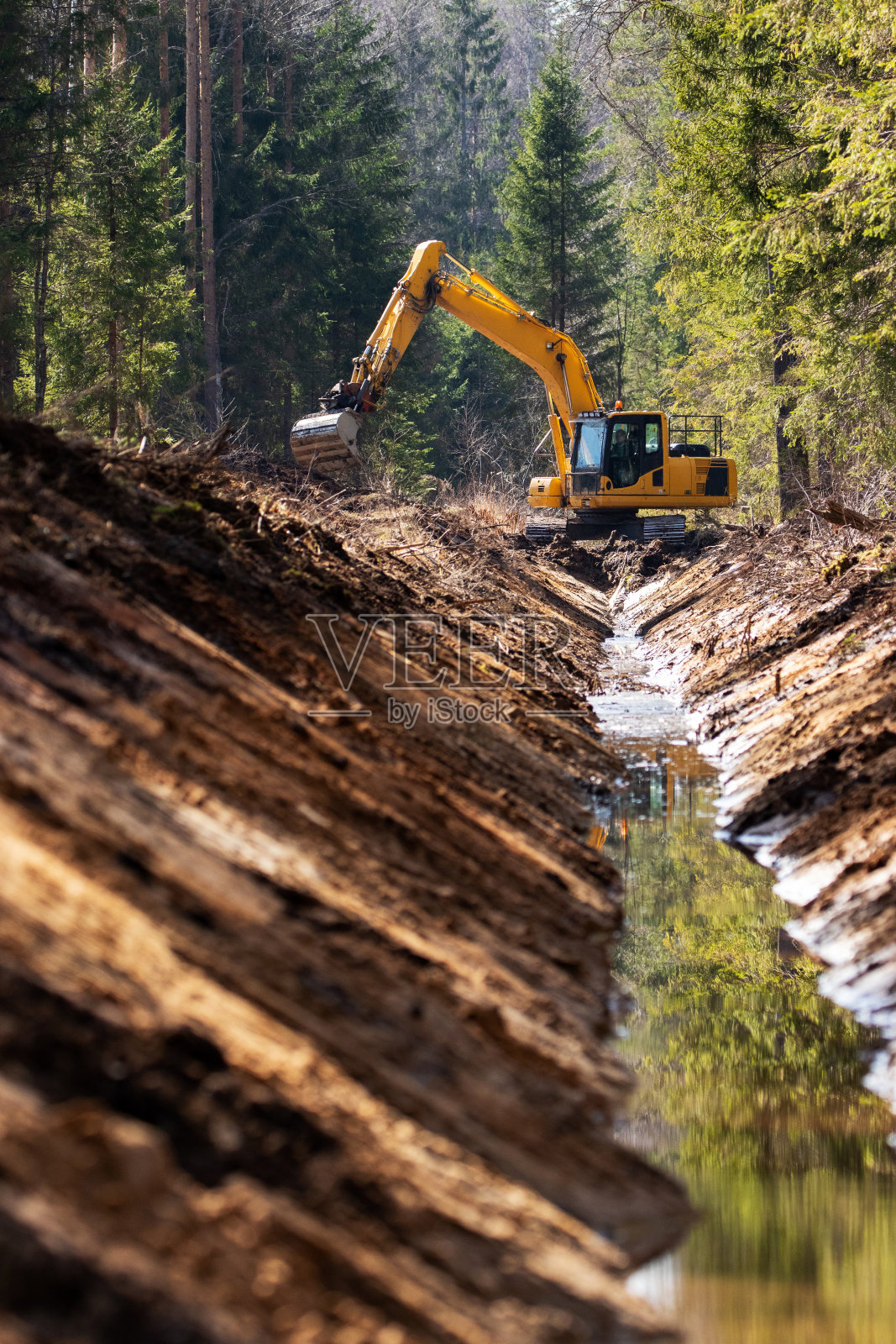爱沙尼亚森林中央排水沟的重建照片摄影图片