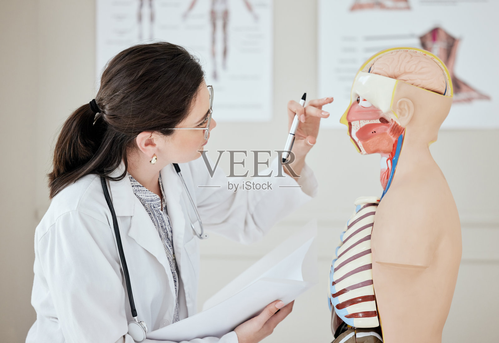 图为一名年轻女医生在医院检查人体模型照片摄影图片