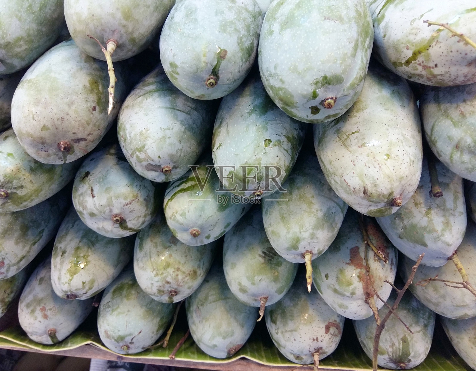 泰国绿色芒果照片摄影图片