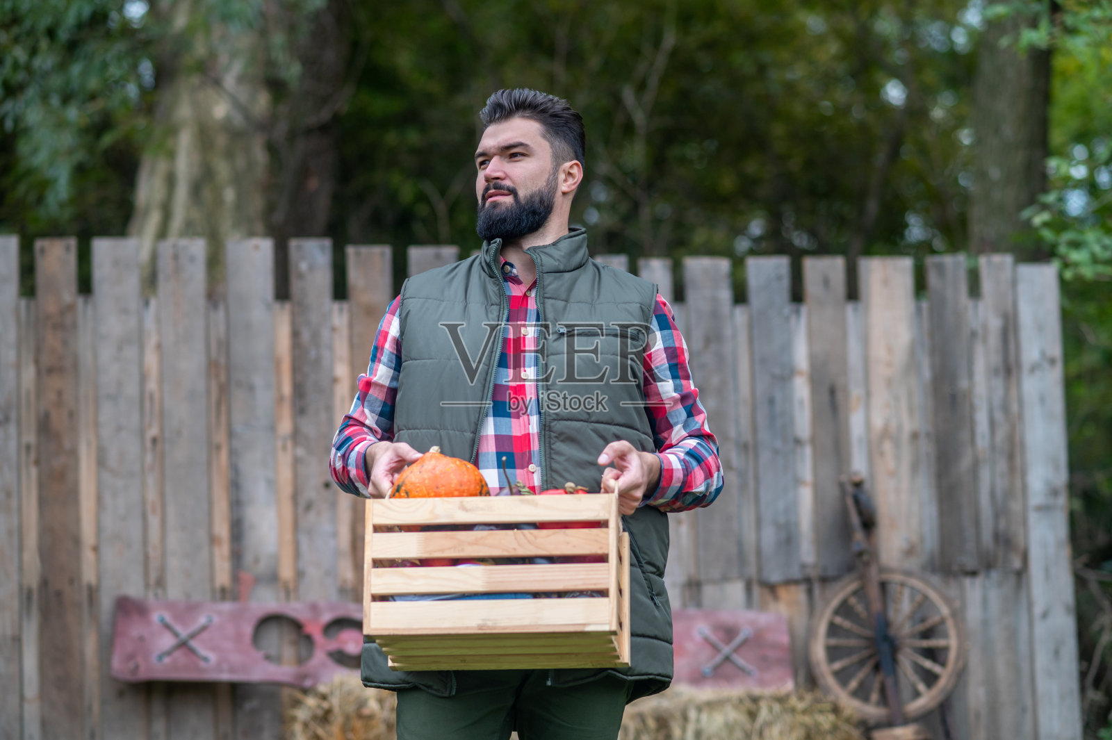 一个男农民扛着一个装蔬菜的盒子照片摄影图片