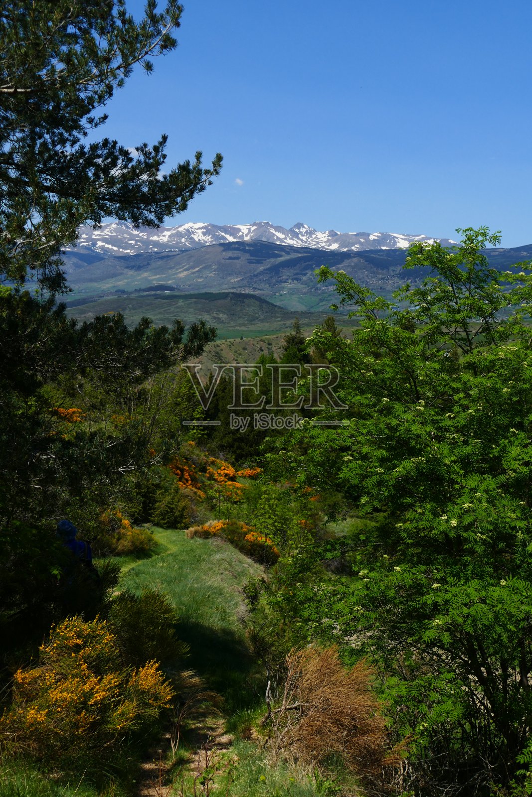 通往圣费柳教堂遗址的小路,在比利牛斯东方山,赛达涅,洛村的上方照片摄影图片