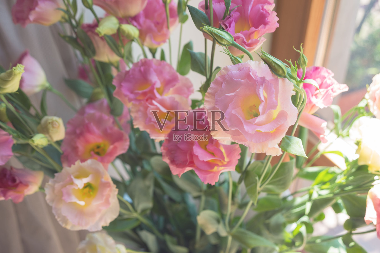 一大束粉红色的尤stoma花照片摄影图片