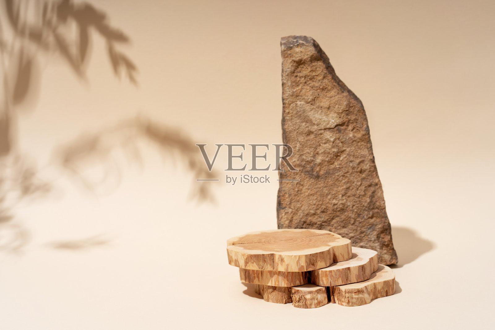 组成空墩材料树石干花。产品演示。米色背景。来自天然材料的美丽背景。照片摄影图片