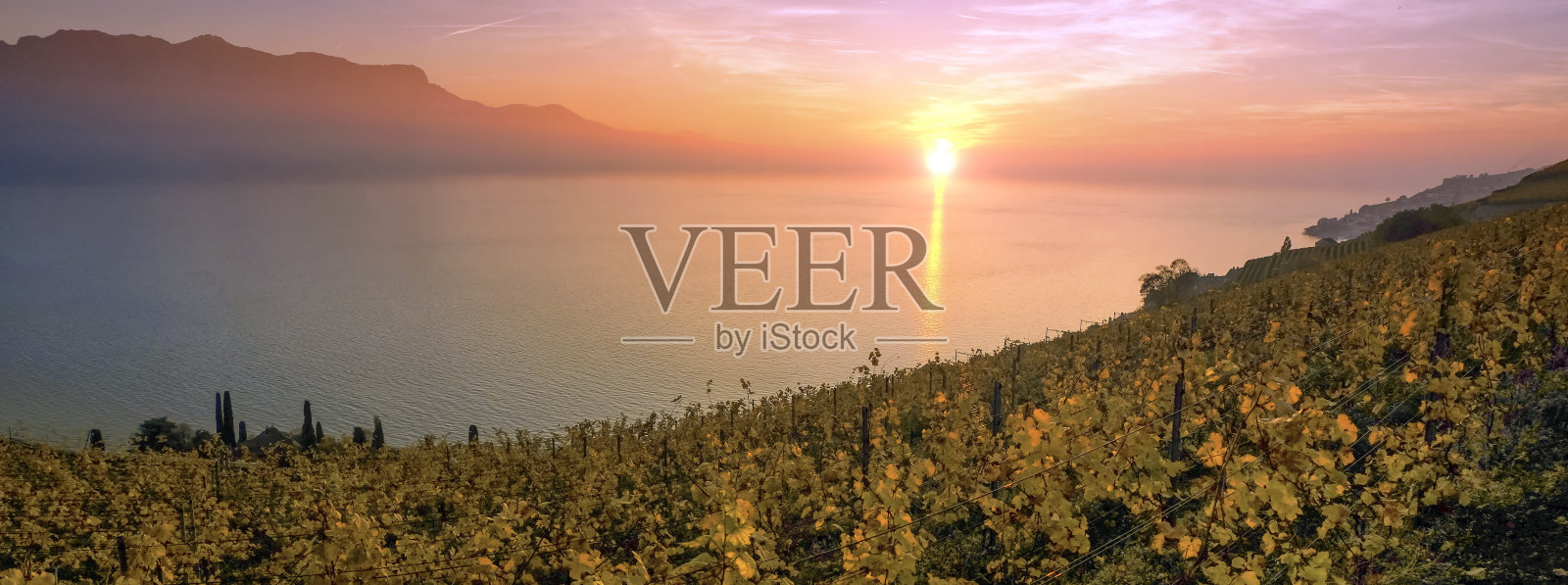 Lavaux地区的全景,Vaud,瑞士照片摄影图片