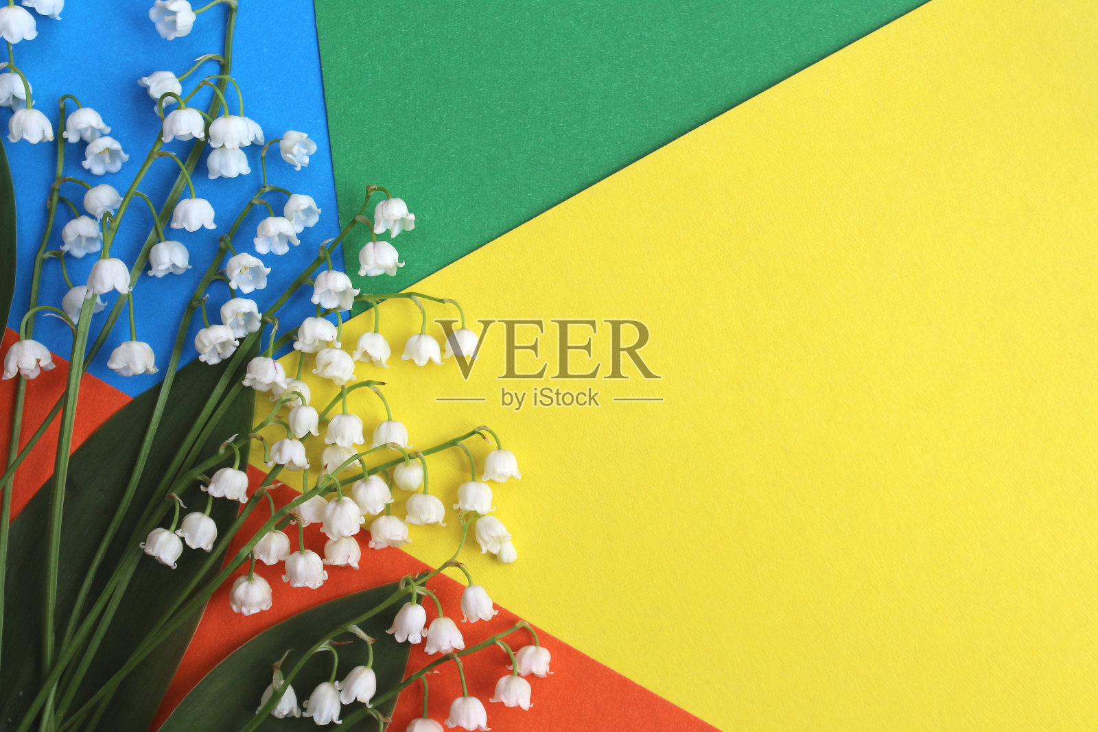 山谷里的白色百合花躺在明亮多彩的背景上。照片摄影图片