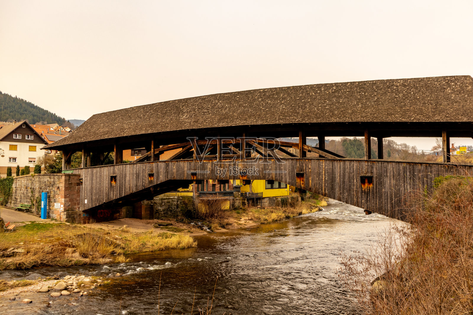探索福尔巴赫附近的黑森林照片摄影图片