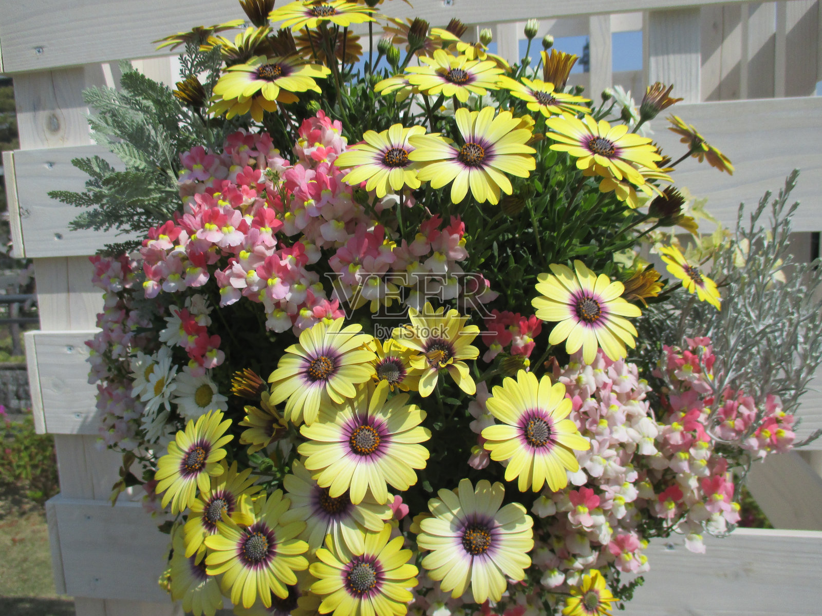 由鲜艳的春天花朵组成的美丽的插花照片摄影图片