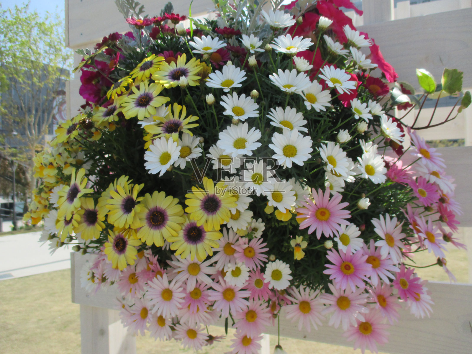 由鲜艳的春天花朵组成的美丽的插花照片摄影图片