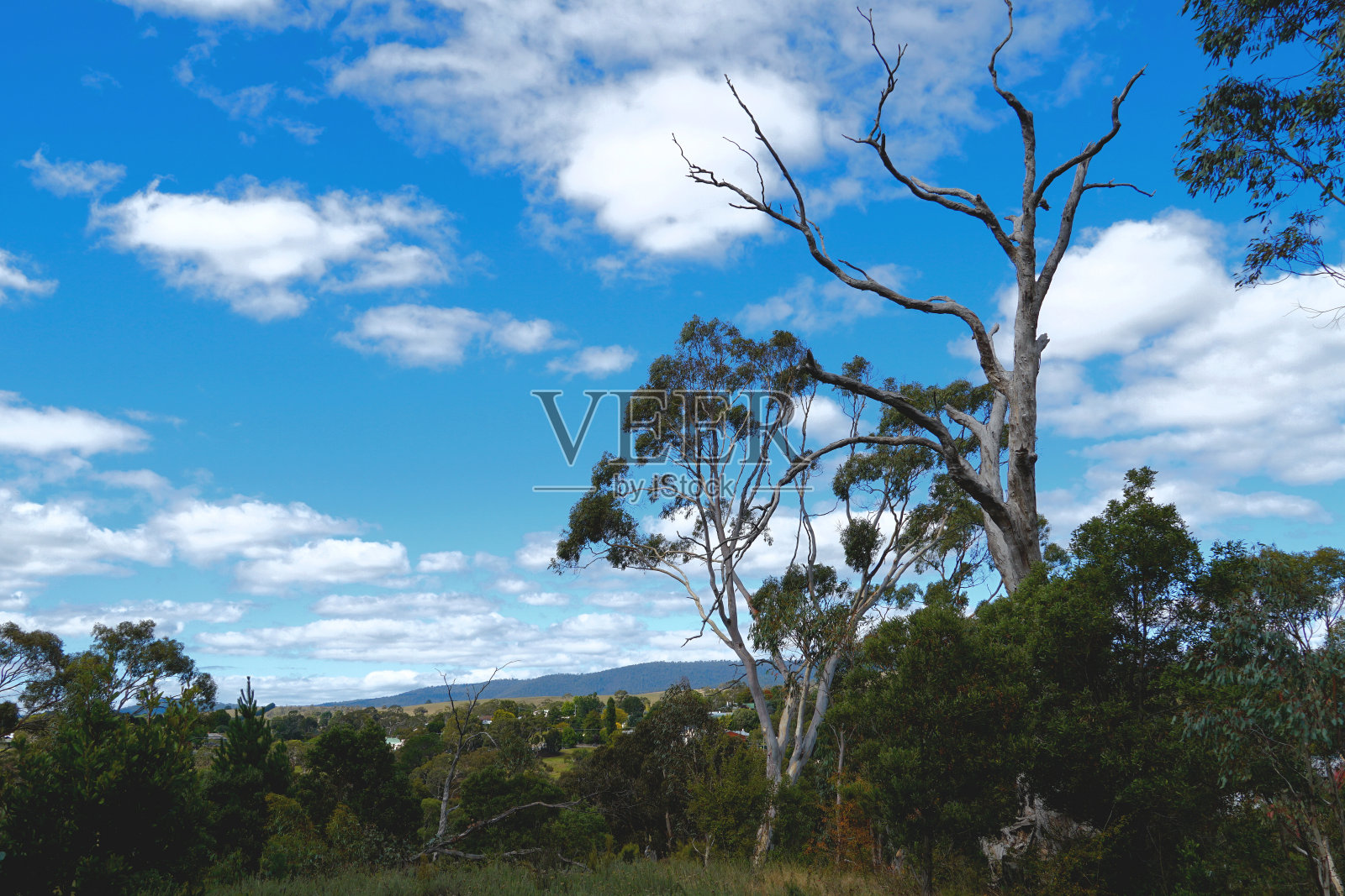 Omeo,维多利亚,澳大利亚照片摄影图片