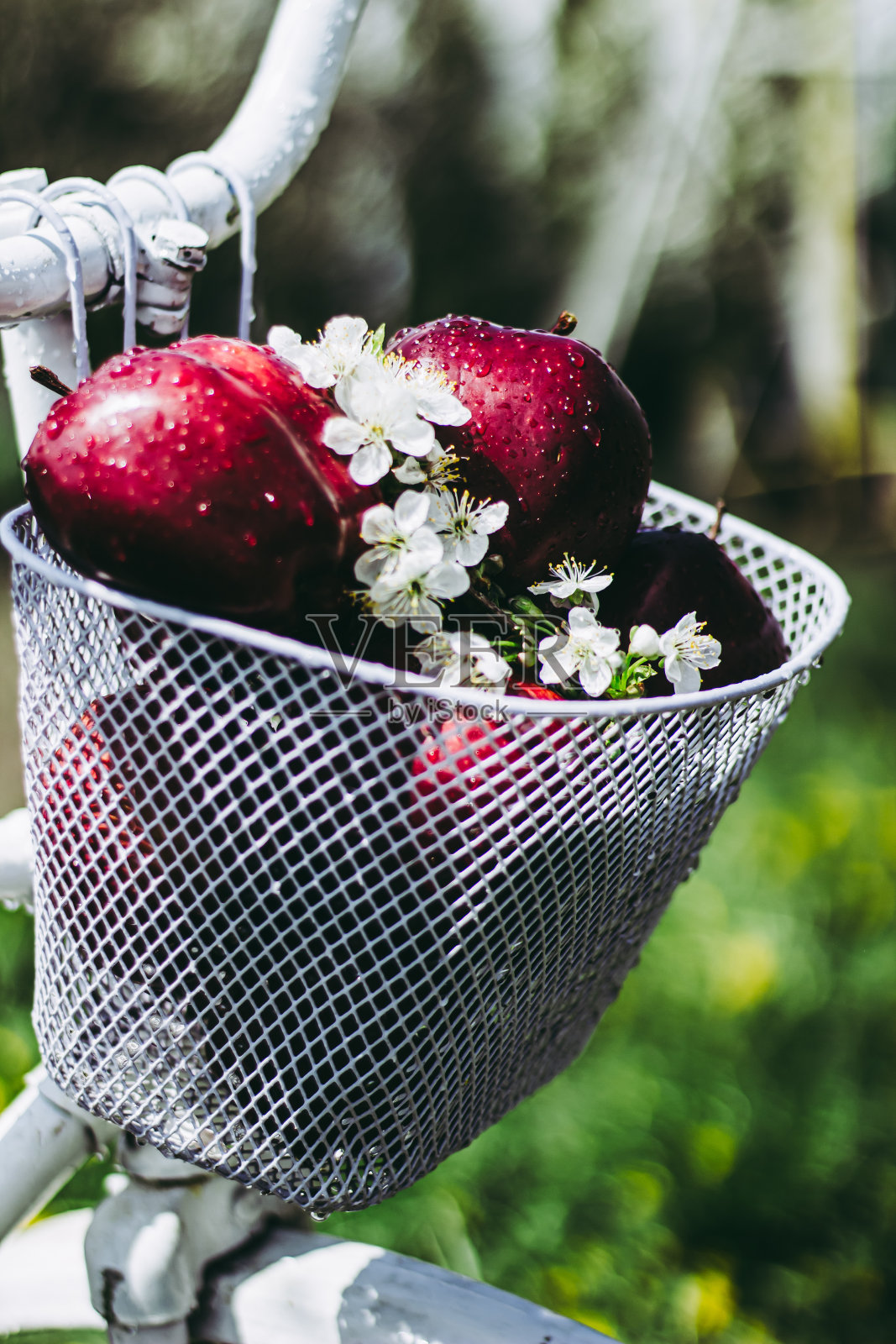 自行车篮子里的苹果。散景风格。前对焦构图照片摄影图片