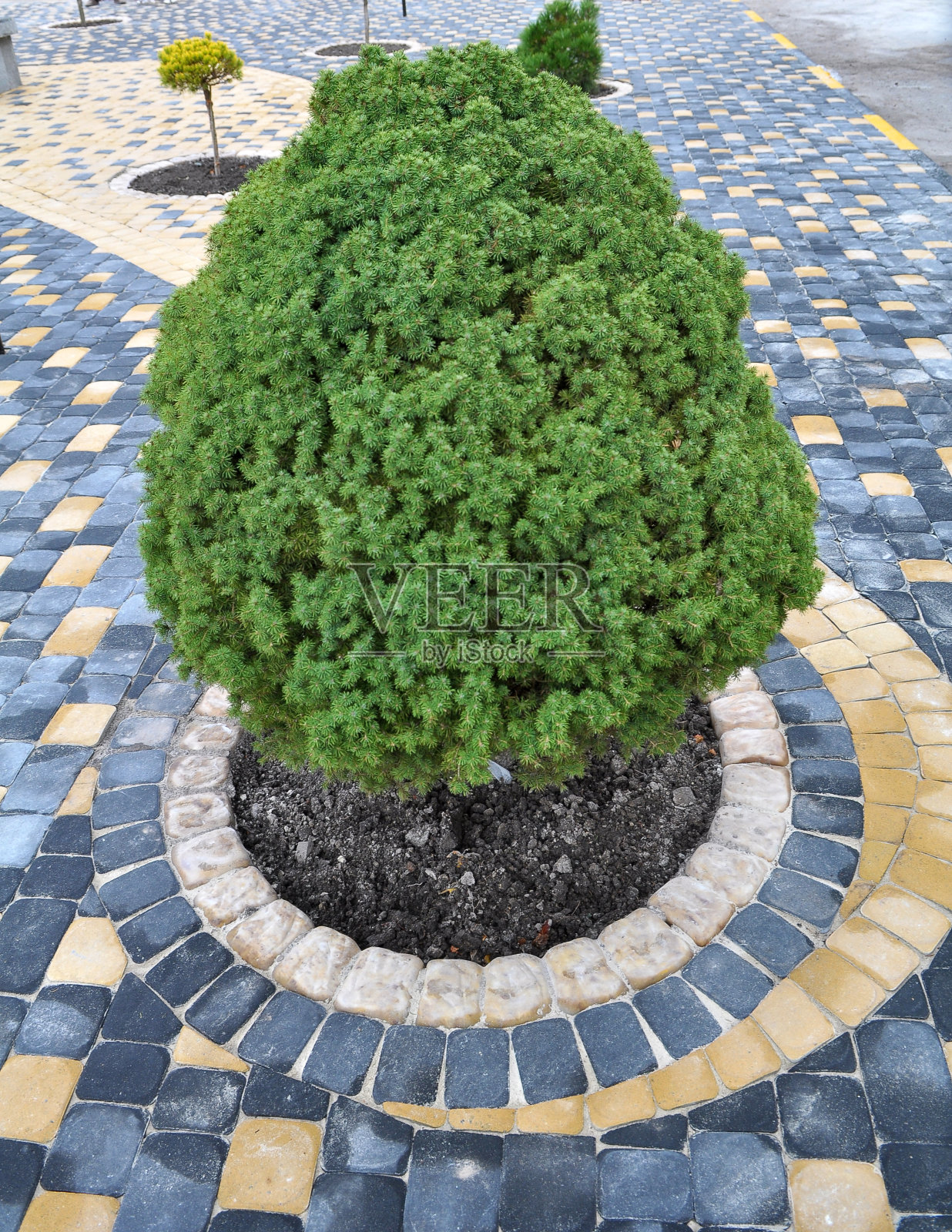 园林、公园、广场、休闲场所的园林绿化设计照片摄影图片