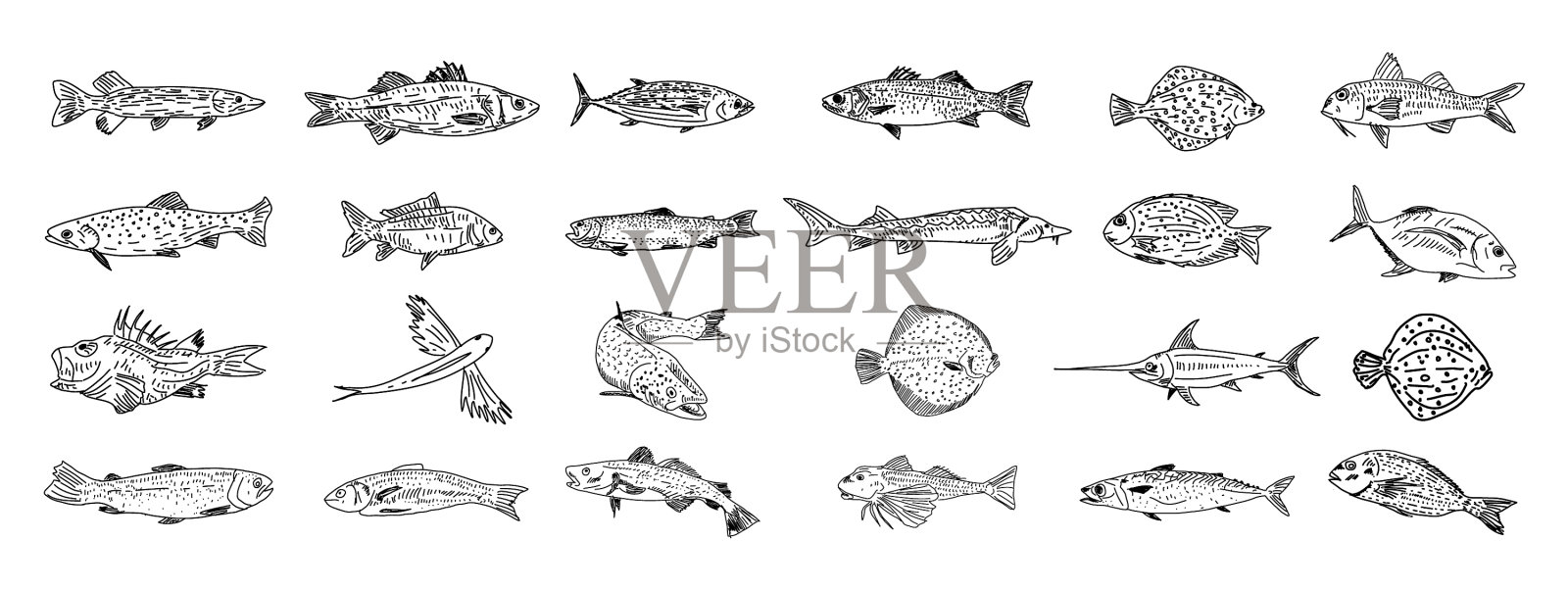 手绘鱼集鱼素描集图标素材