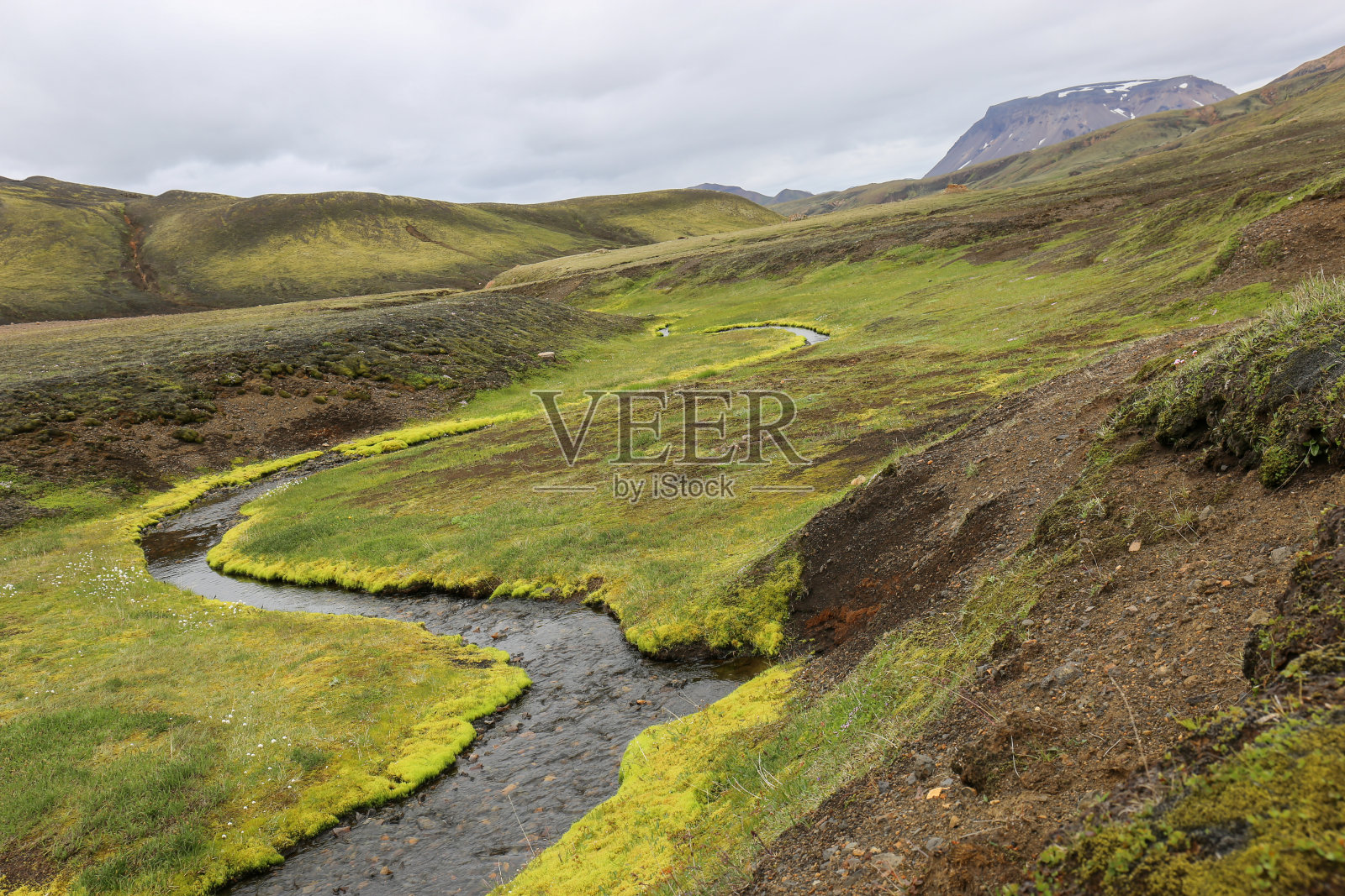 冰岛高地的湿地照片摄影图片