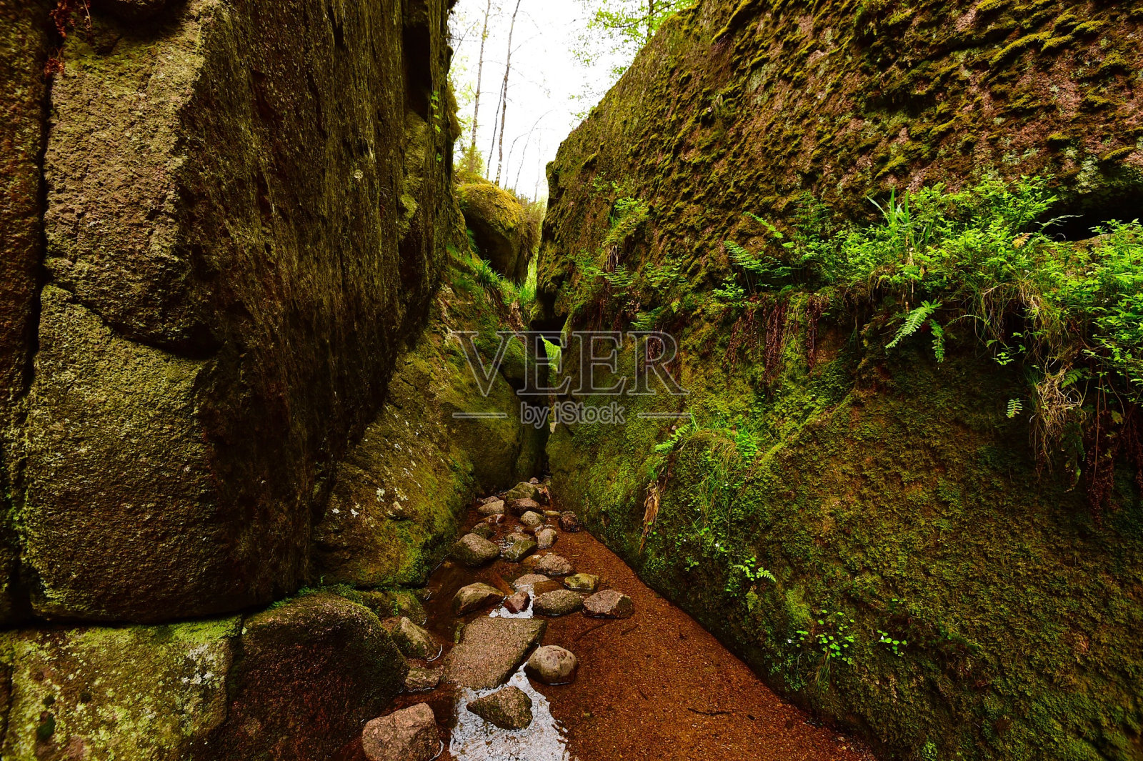 苏格兰凯恩戈姆国家公园照片摄影图片