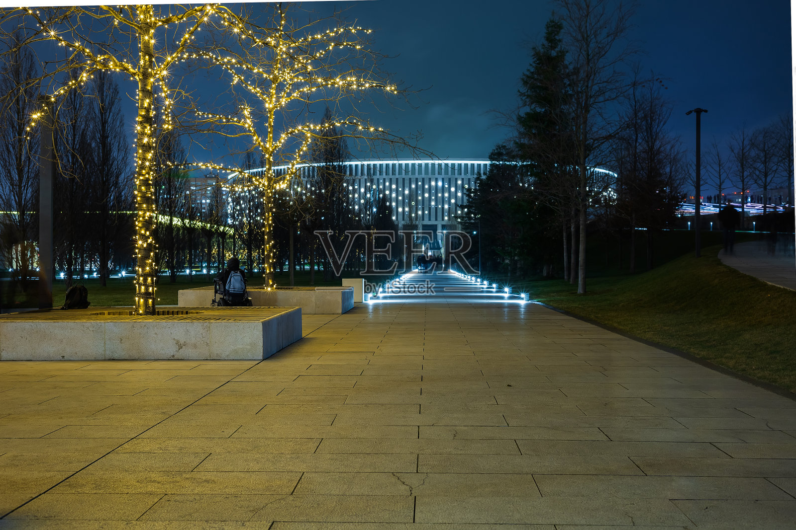 夜晚的冬季公园与徒步小径照亮了明亮的聚光灯在草坪和树木的花环。夜晚发光的圣诞建筑。有选择性的重点。运动模糊照片摄影图片