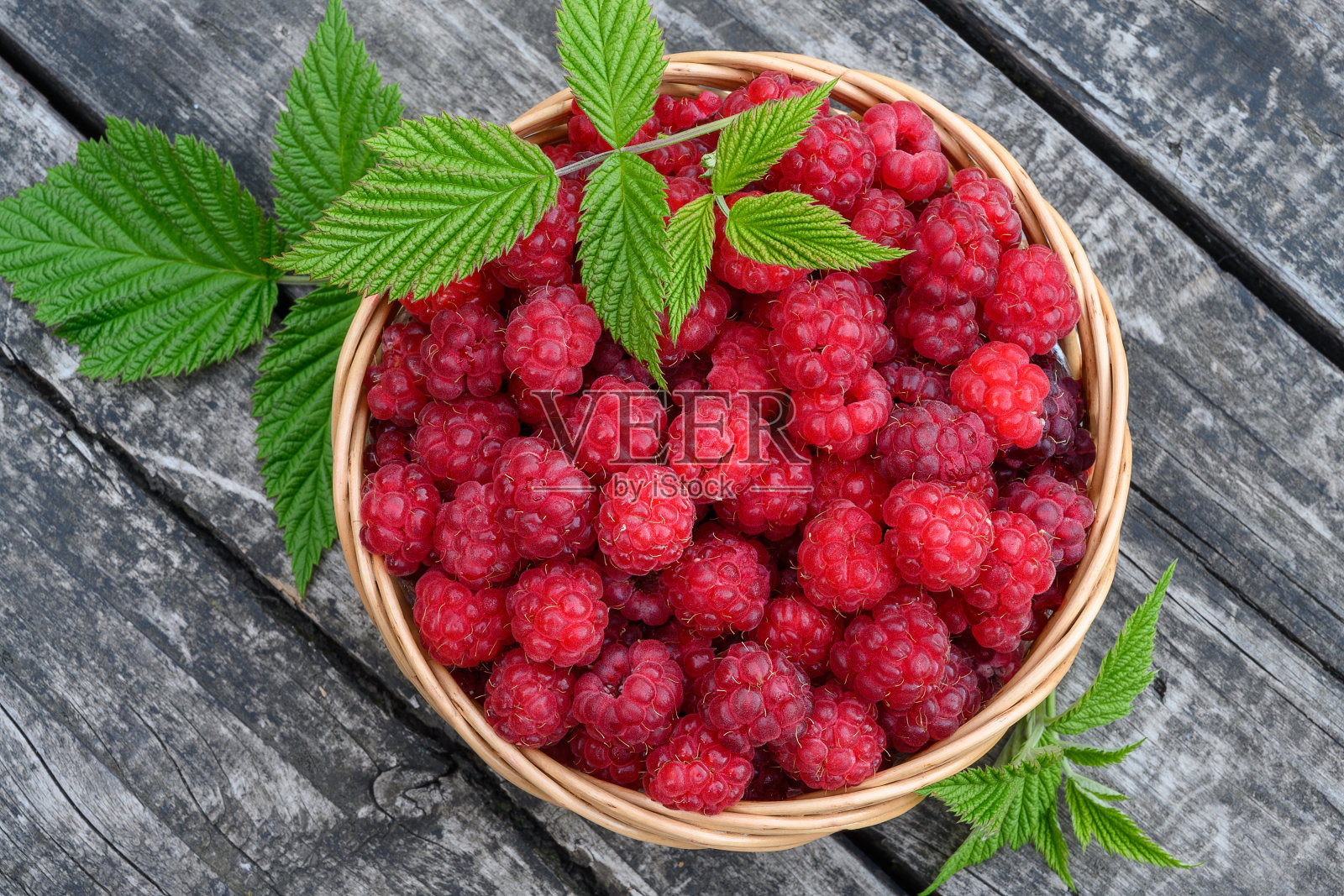 成熟的红覆盆子被收集在柳条篮里,放在木桌上。用绿色的树枝装饰。顶视图特写。照片摄影图片