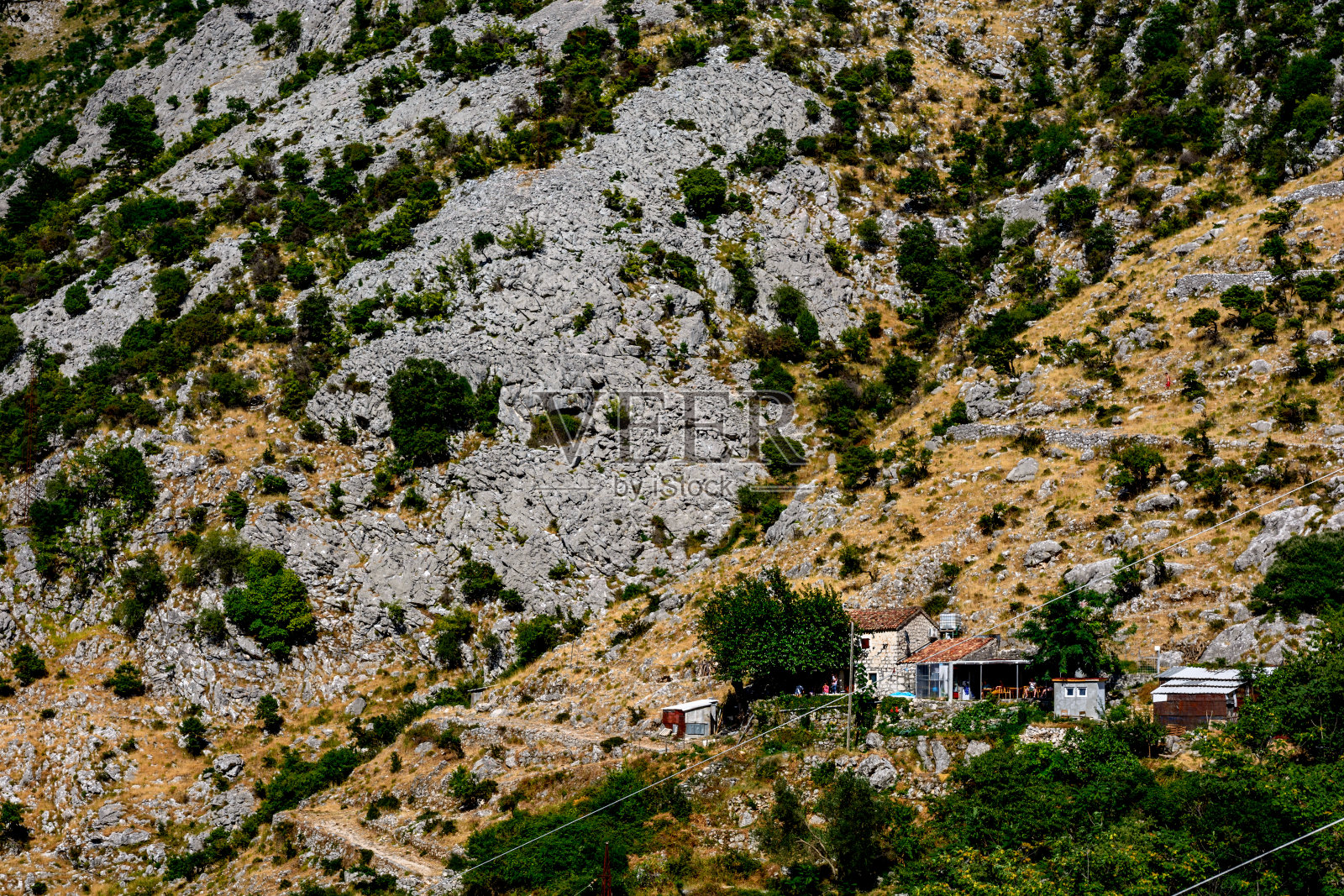 牧场在高山上照片摄影图片