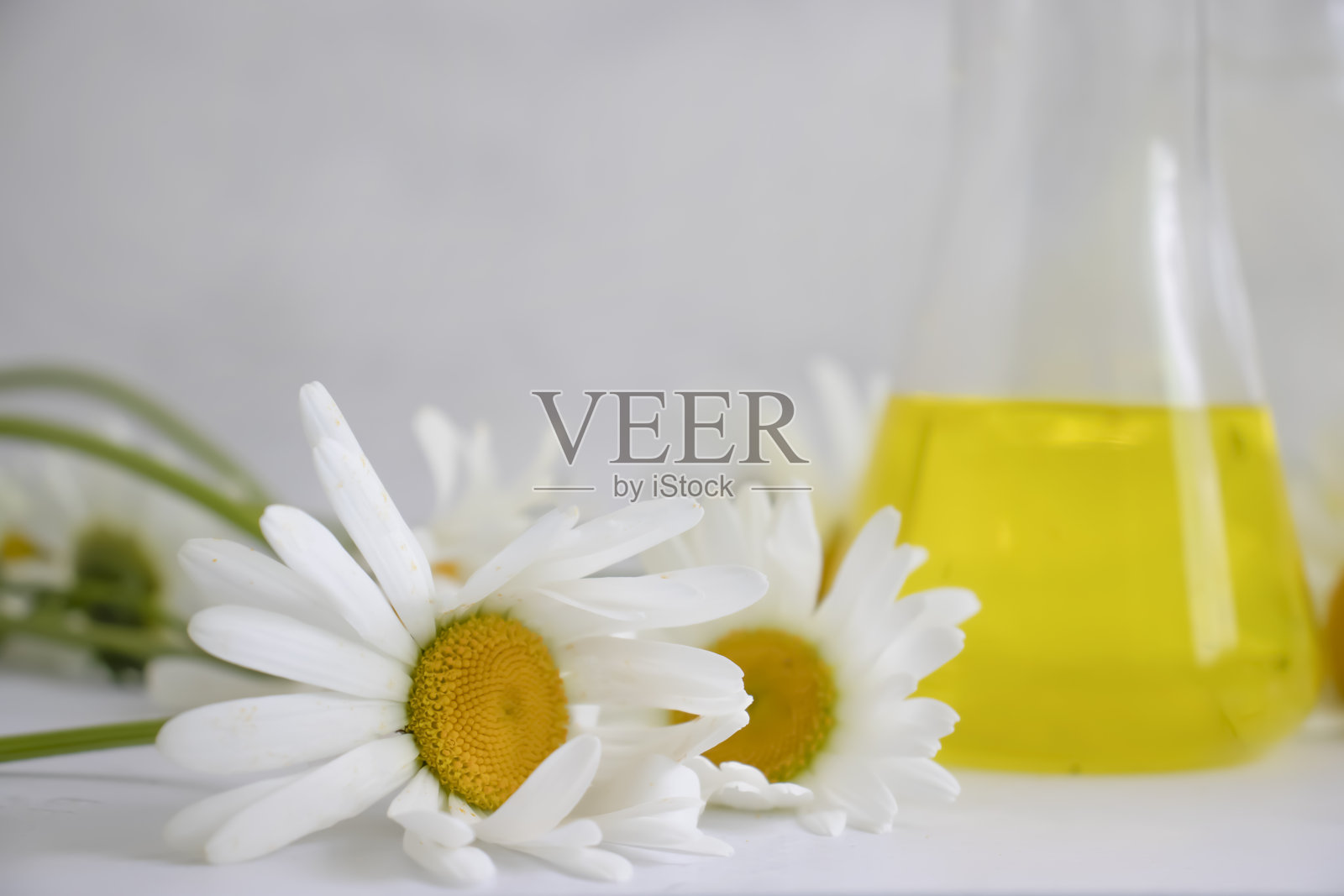 实验室烧瓶洋甘菊花在一个明亮的背景照片摄影图片