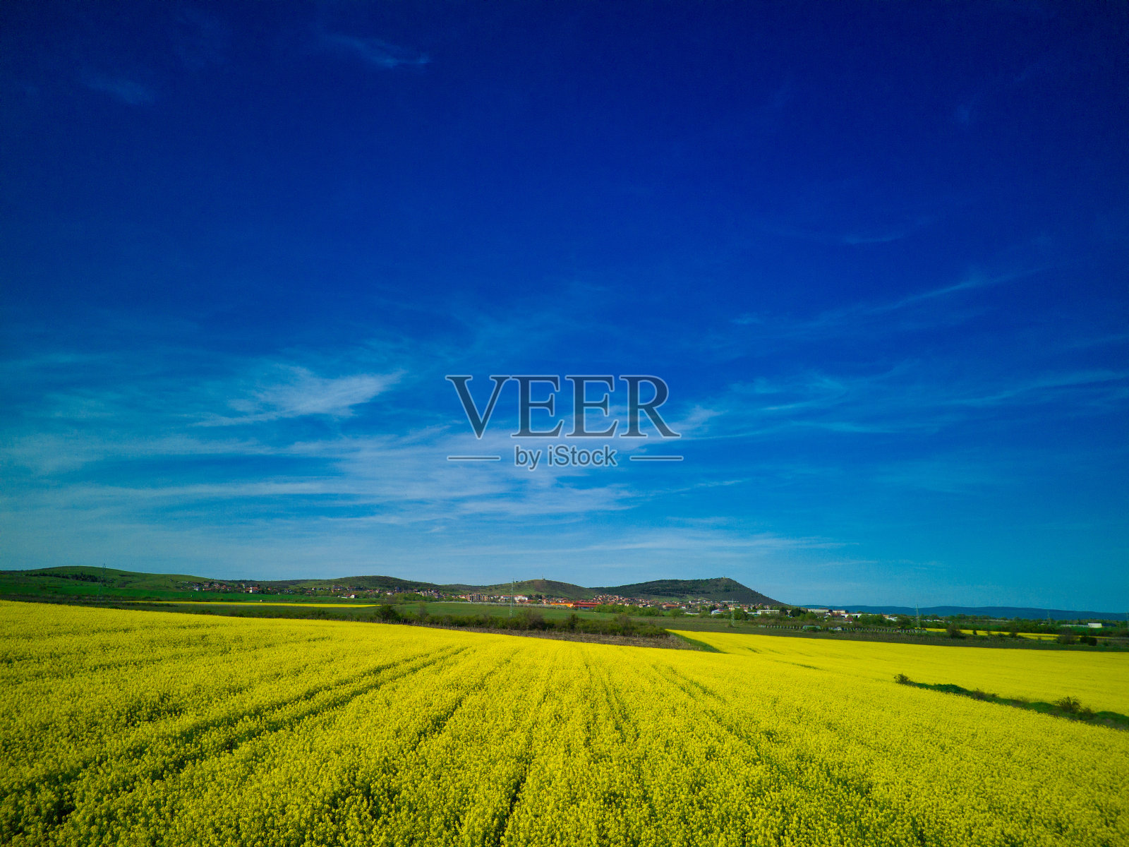 保加利亚的田野,在村庄和天空的映衬下,山谷里有一株植物照片摄影图片