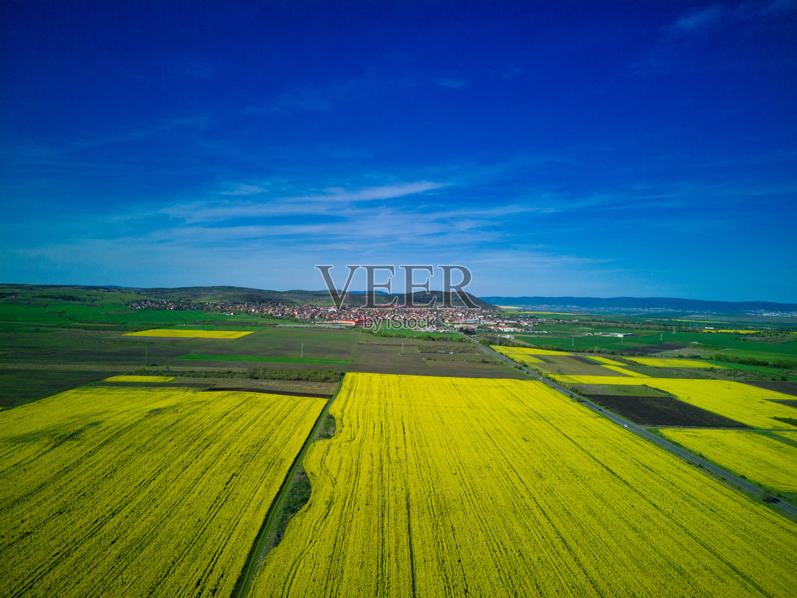 保加利亚的田野,在村庄和天空的映衬下,山谷里有一株植物照片摄影图片