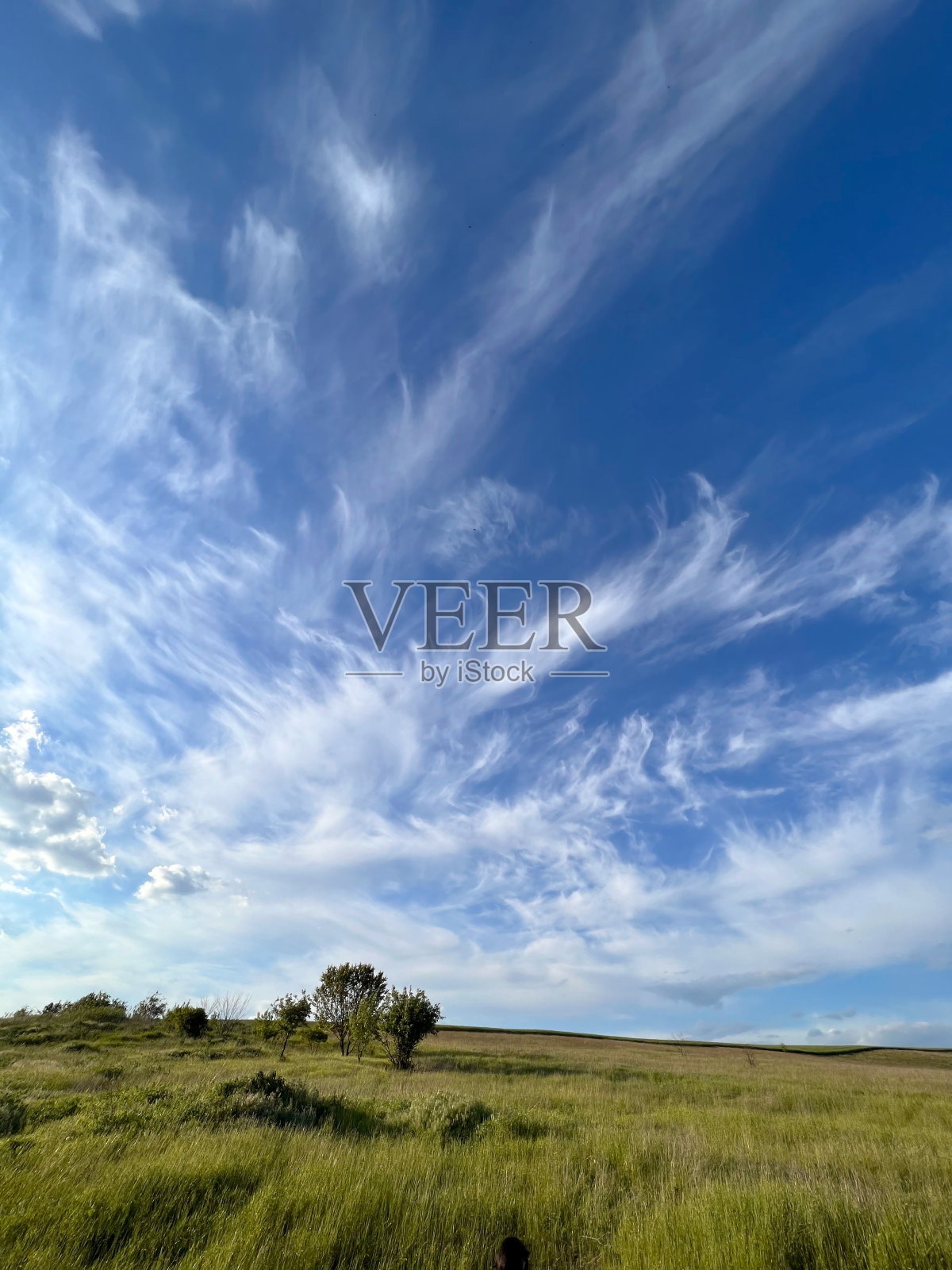 美丽的草地景观和风景优美的云景。照片摄影图片