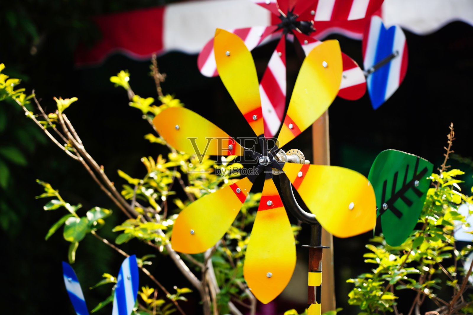 户外花园中的风风车照片摄影图片