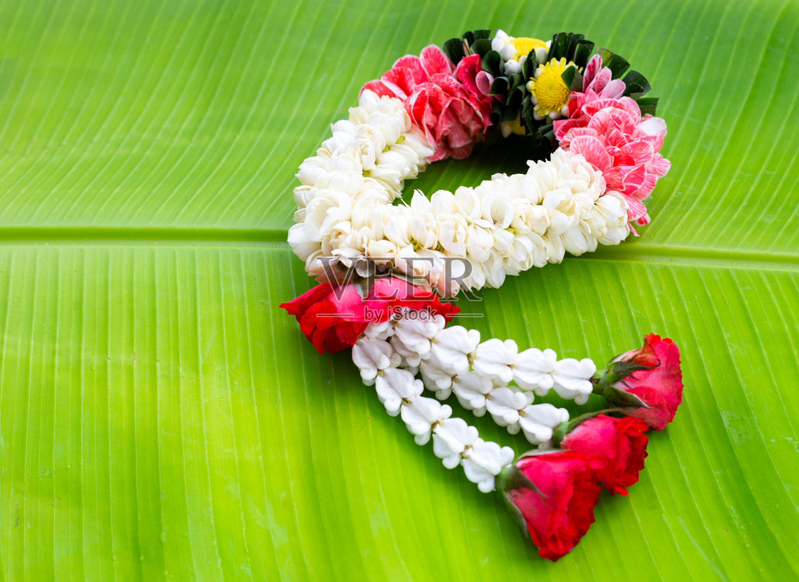 玫瑰花冠和茉莉花环照片摄影图片