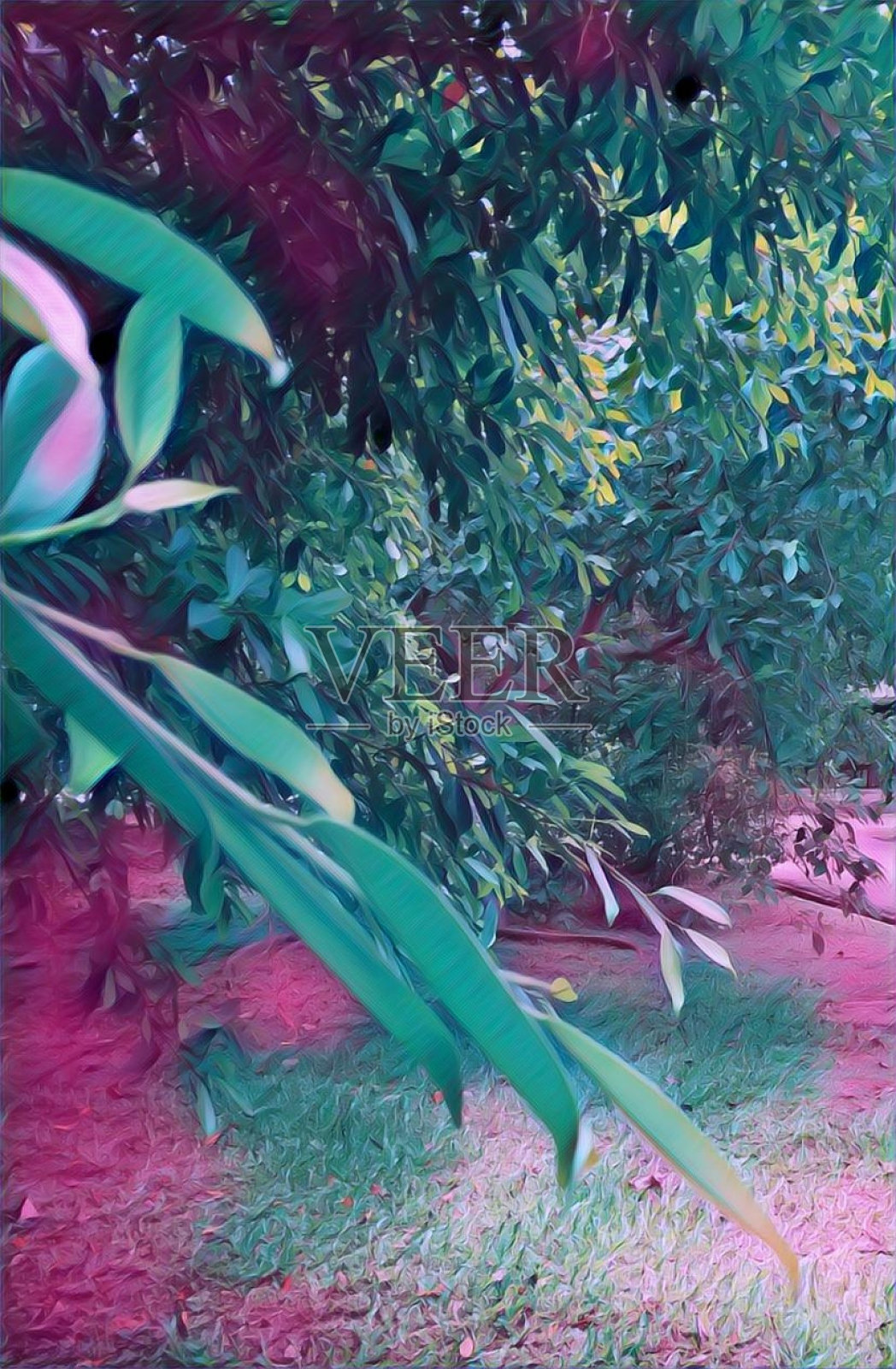 花园-树叶照片摄影图片