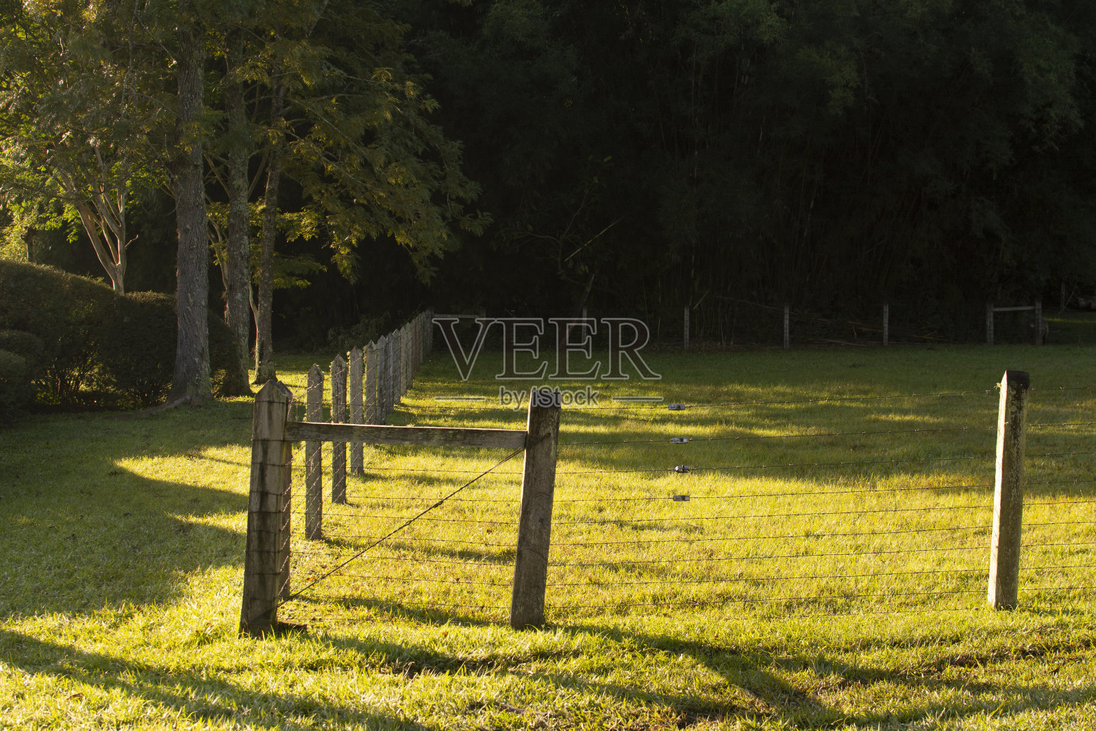 巴西度假风景庄园,里约热内卢Grande do Sul,巴西照片摄影图片