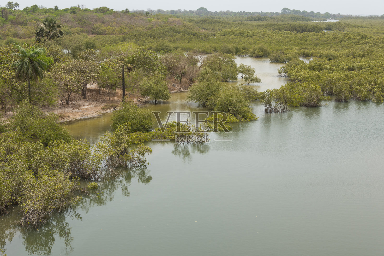 冈比亚河流的航拍照片照片摄影图片