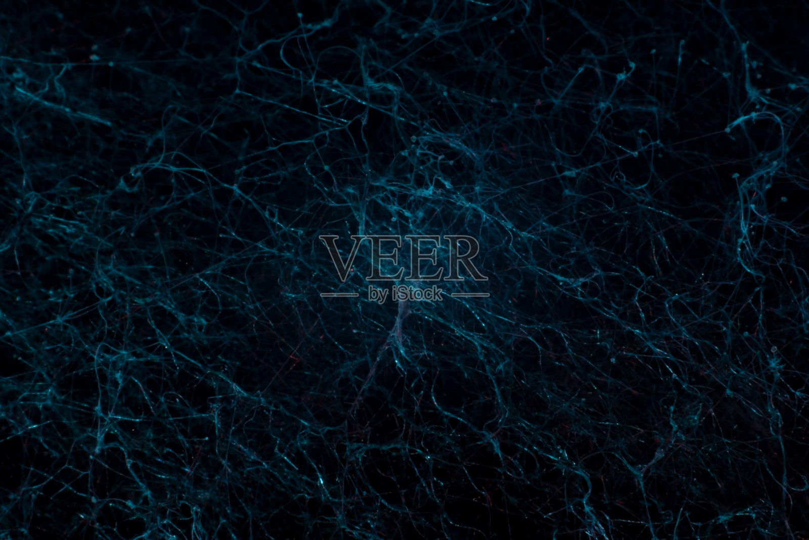 抽象蓝色背景特写的模具。神经网络照片摄影图片