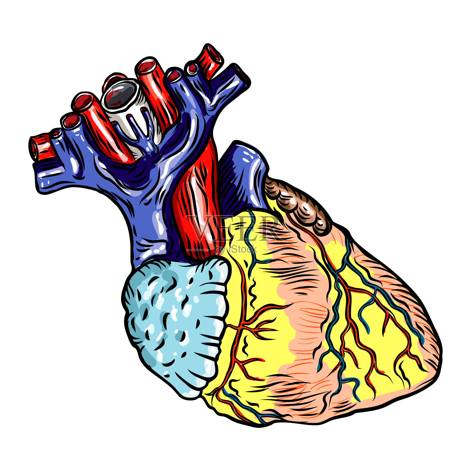 人体心脏解剖手绘。卡通闪光纹身设计雕刻。向量。插画图片素材