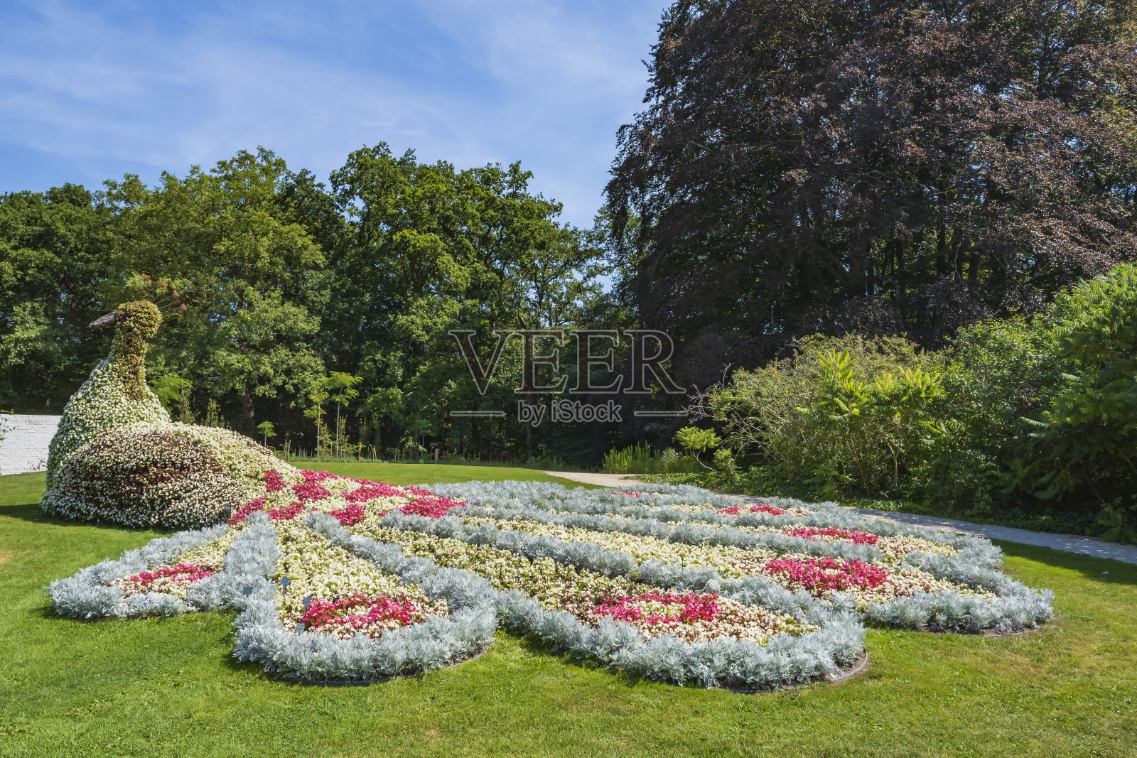 花做的孔雀照片摄影图片