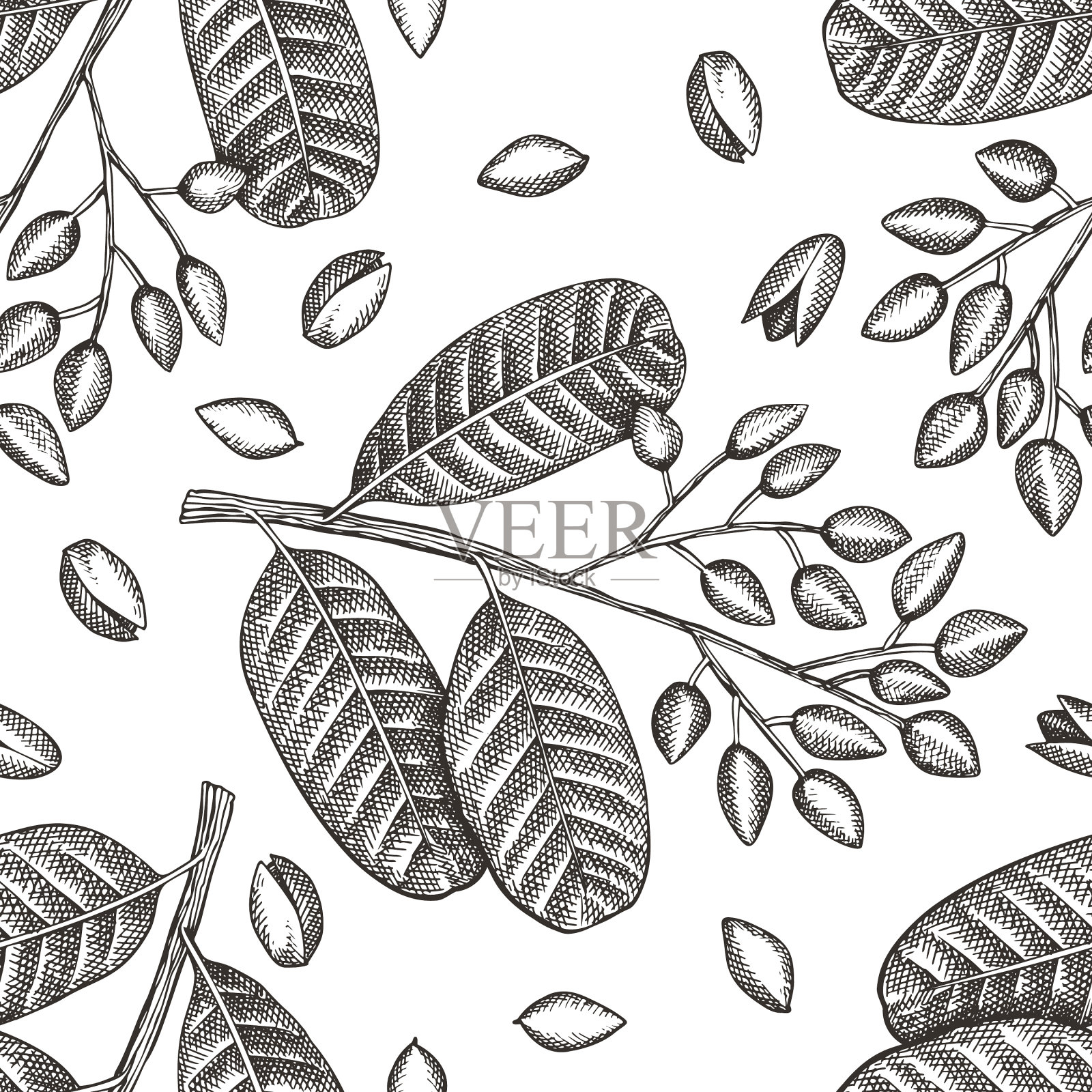 手绘藤蔓枝与果仁无缝衔接插画图片素材