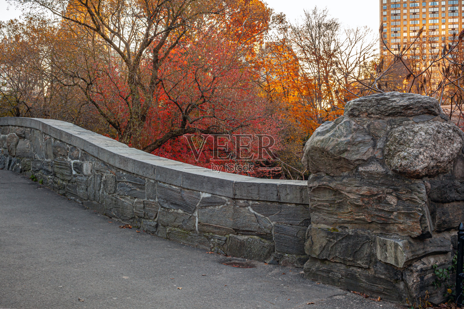 中央公园的盖普斯托大桥照片摄影图片