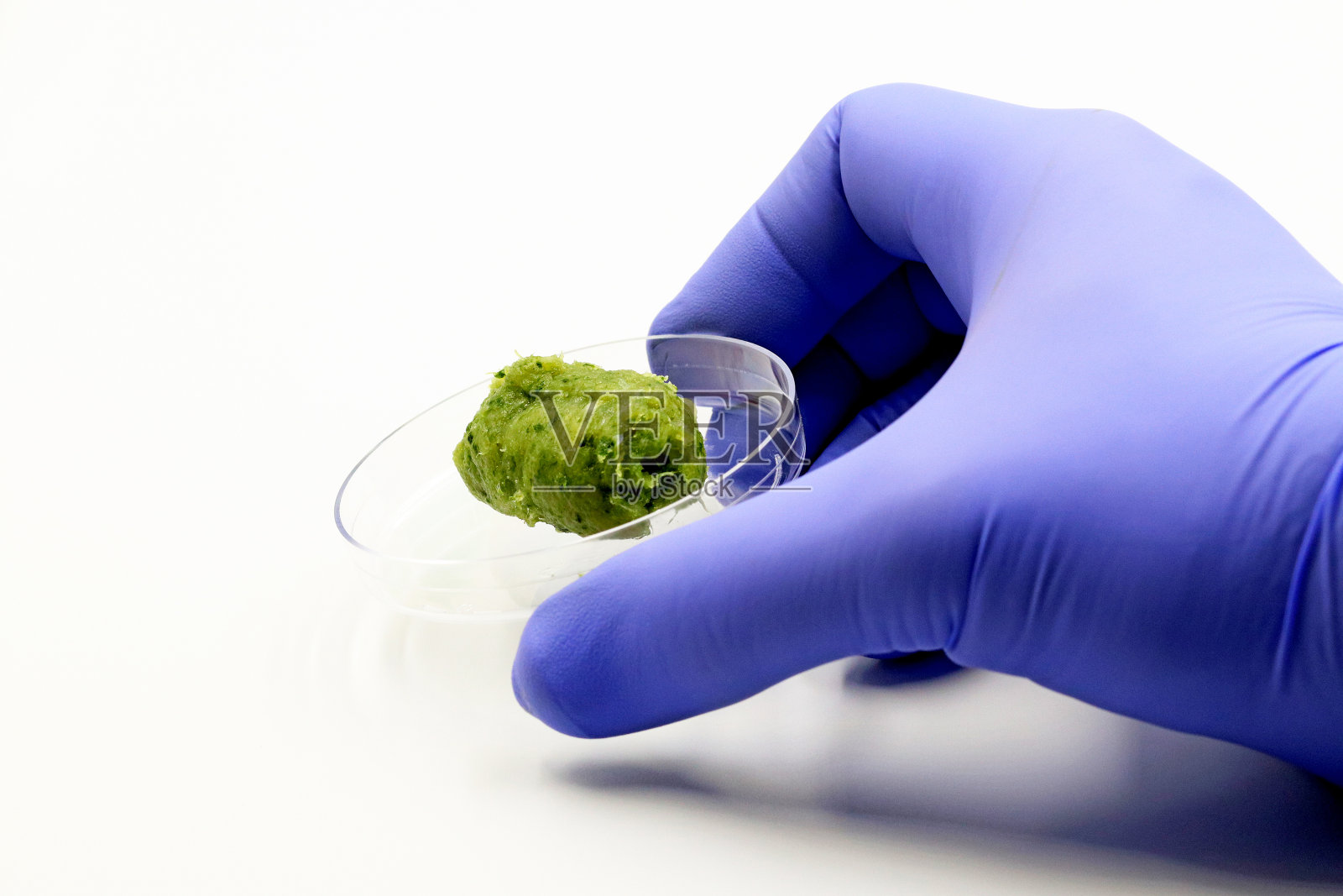 在实验室里用蔬菜制成的肉。植物性肉类的概念。照片摄影图片