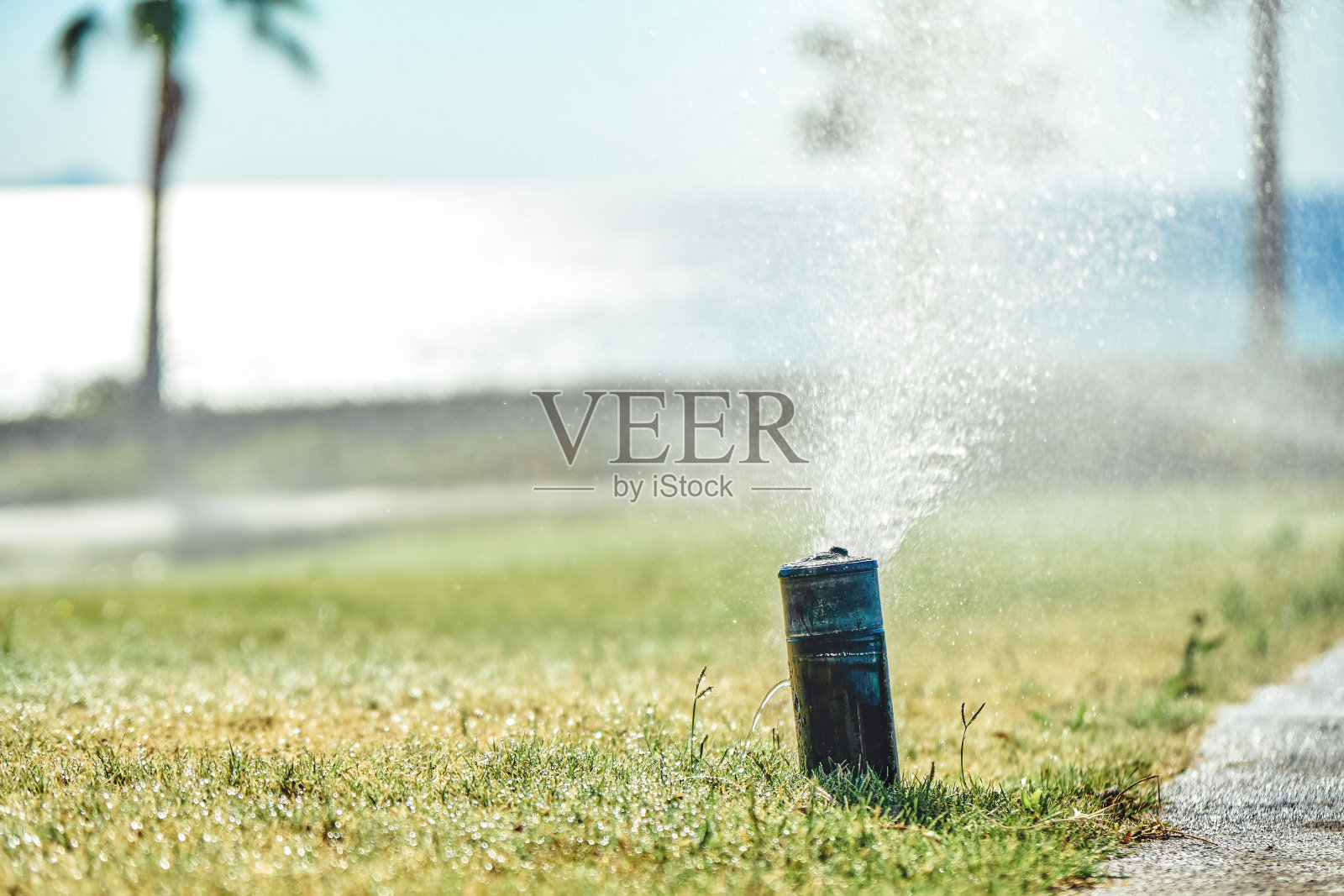 在晴天,自动喷水系统向绿色草坪喷水照片摄影图片