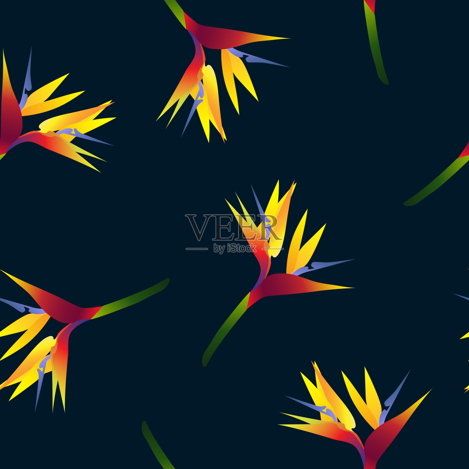 深蓝色背景上的淡紫色花插画图片素材