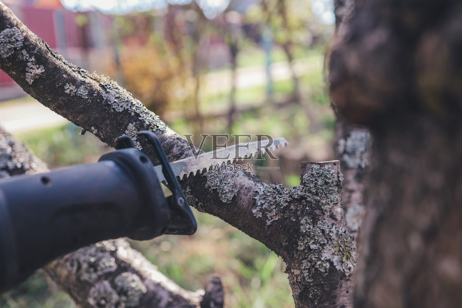 伐木工在锯木厂用链锯锯树照片摄影图片