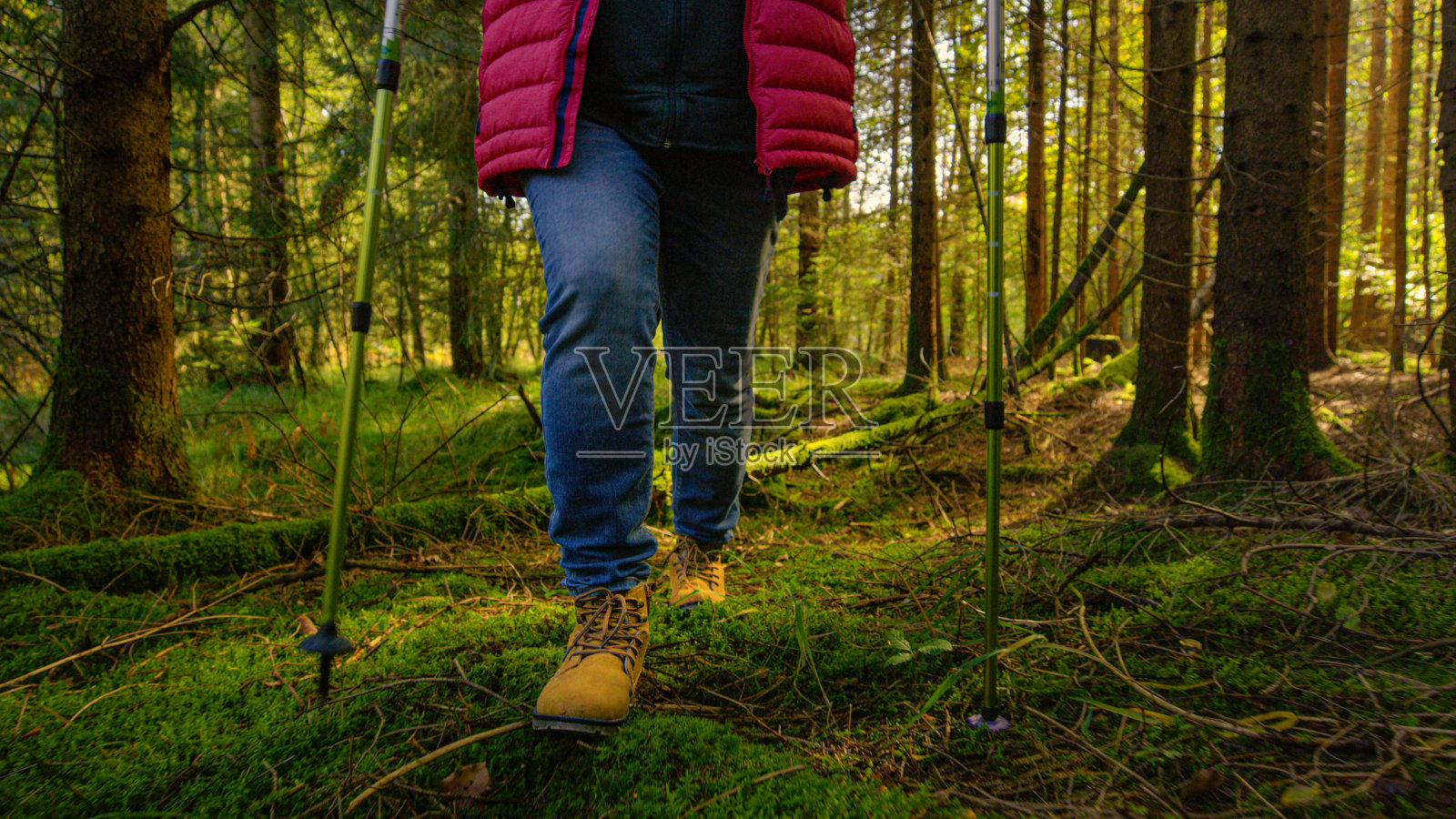 低角度:穿着牛仔裤的老妇人用登山杖在树林里探险。照片摄影图片