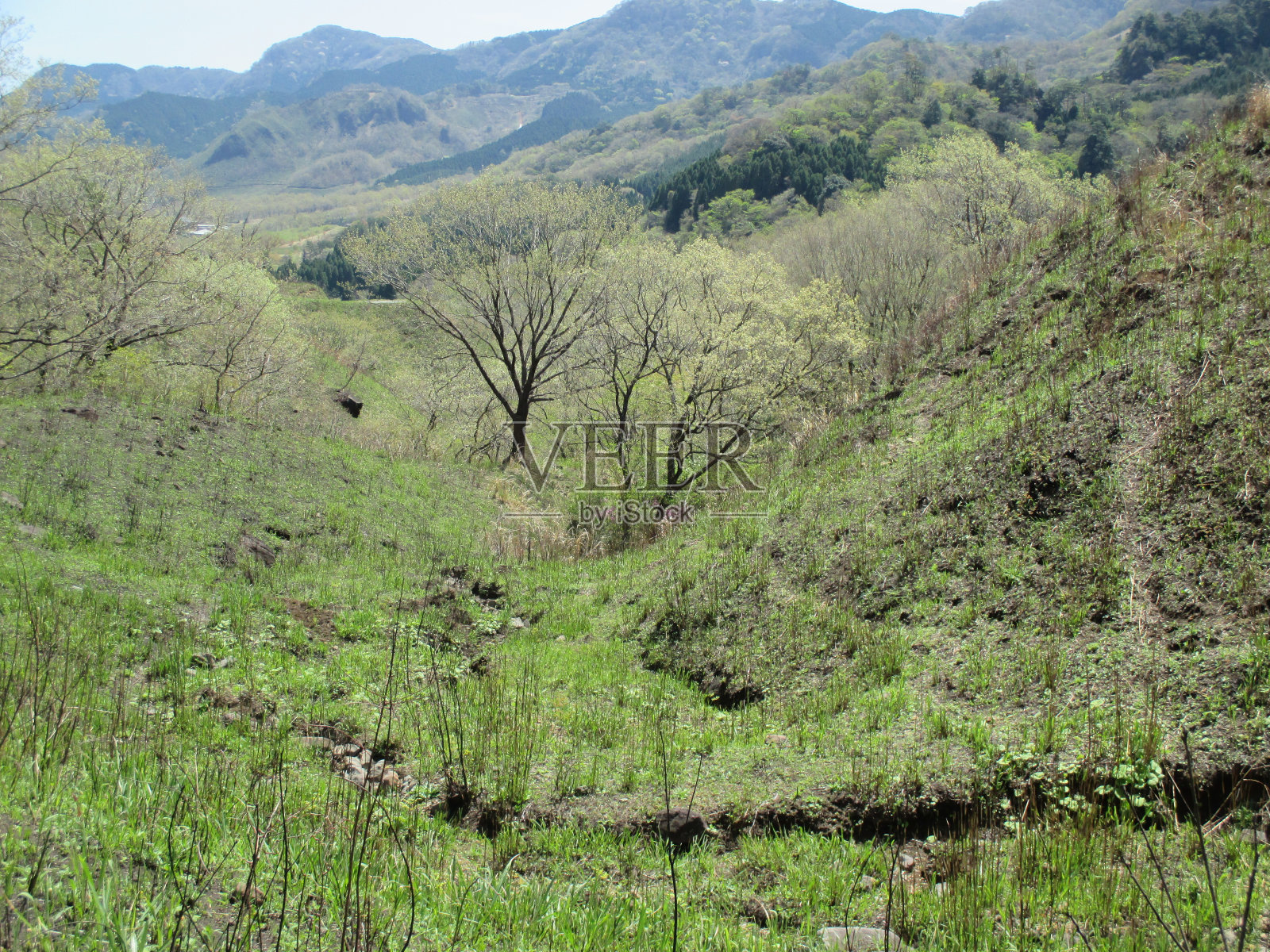 春天的阿苏山,风景秀丽的南岛草原照片摄影图片
