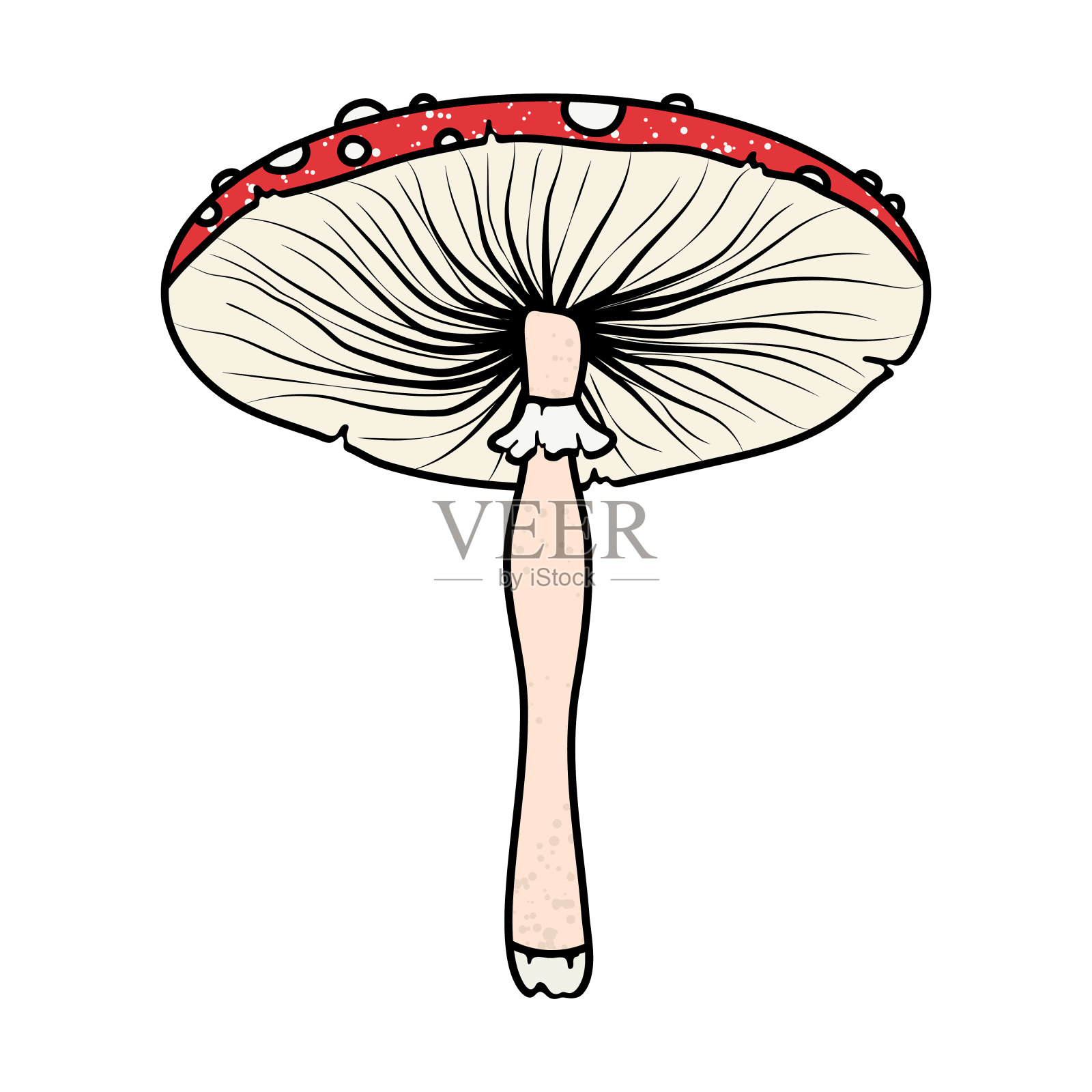 采购产品苍蝇木耳,鹅膏,苍蝇鹅膏蘑菇为自然,森林,贴纸,书,海报,包和服装。插画图片素材