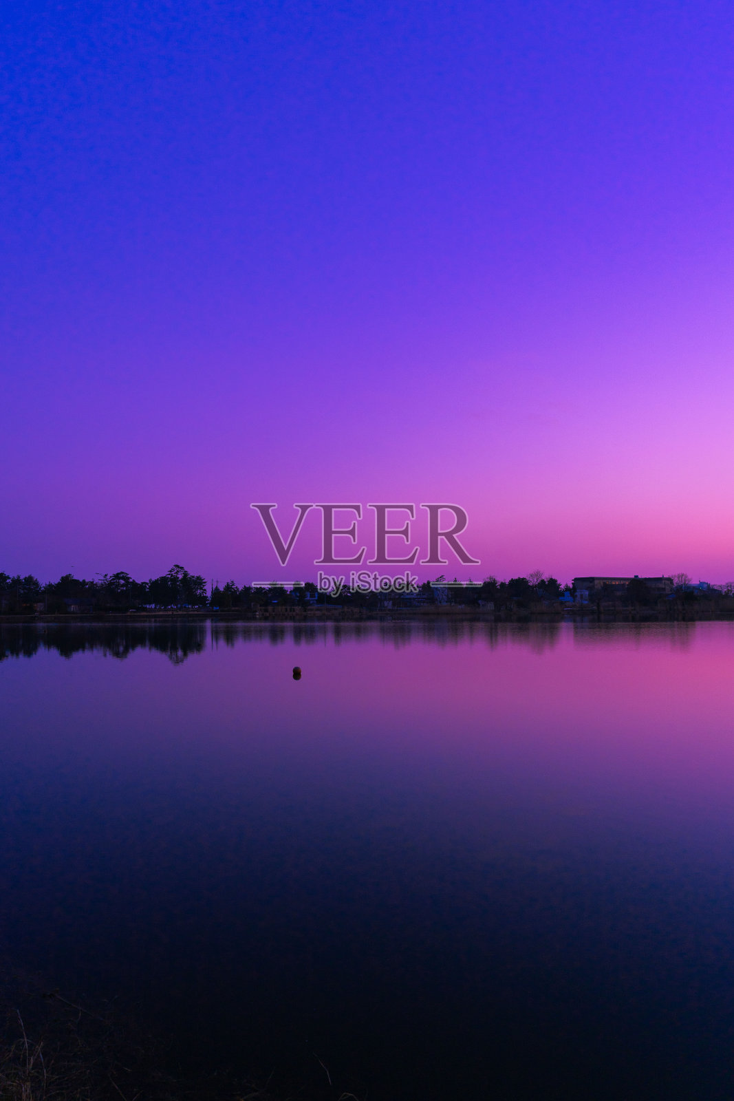 紫色的天空照片摄影图片